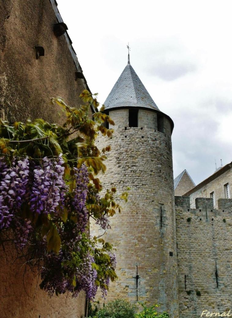 Carcassonne Vacations - L'Oree de la cite - Property Image 11
