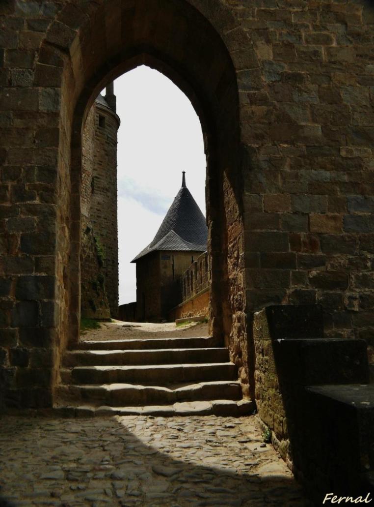 Carcassonne Vacations - L'Oree de la cite - Property Image 12