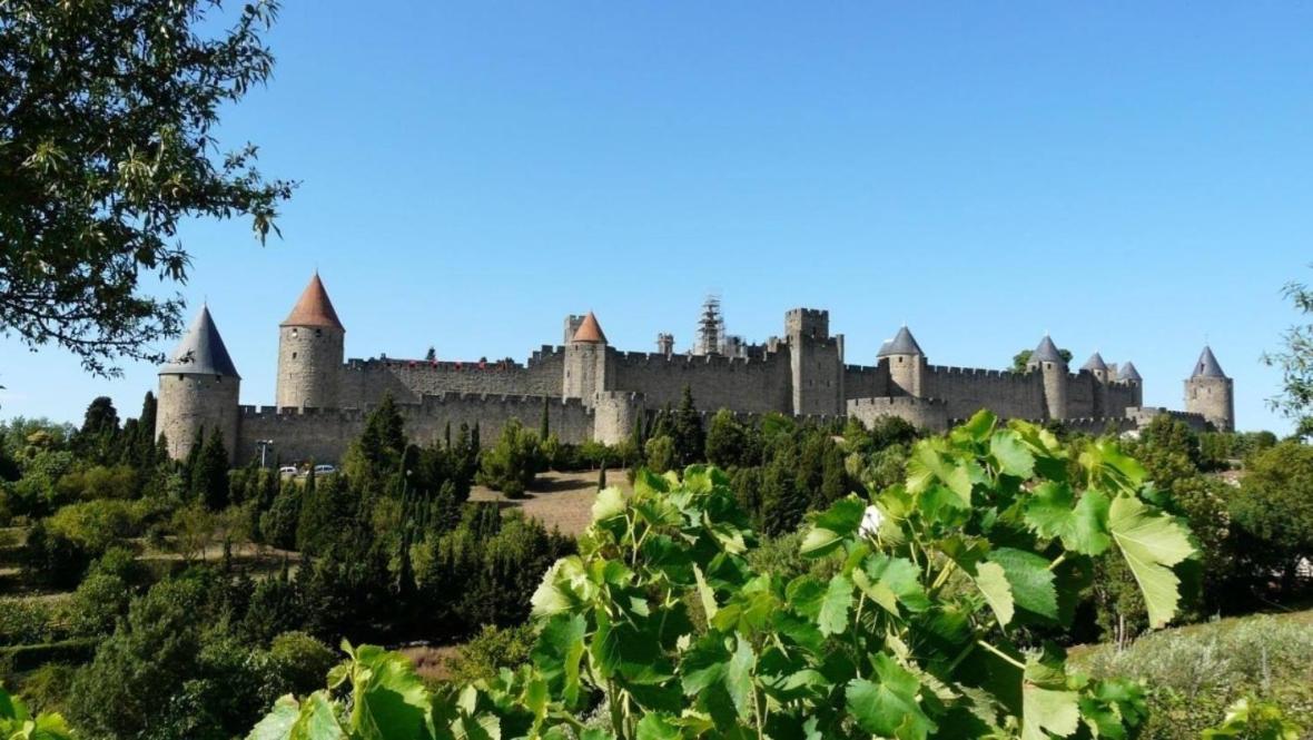 Carcassonne Vacations - L'Oree de la cite - Property Image 15