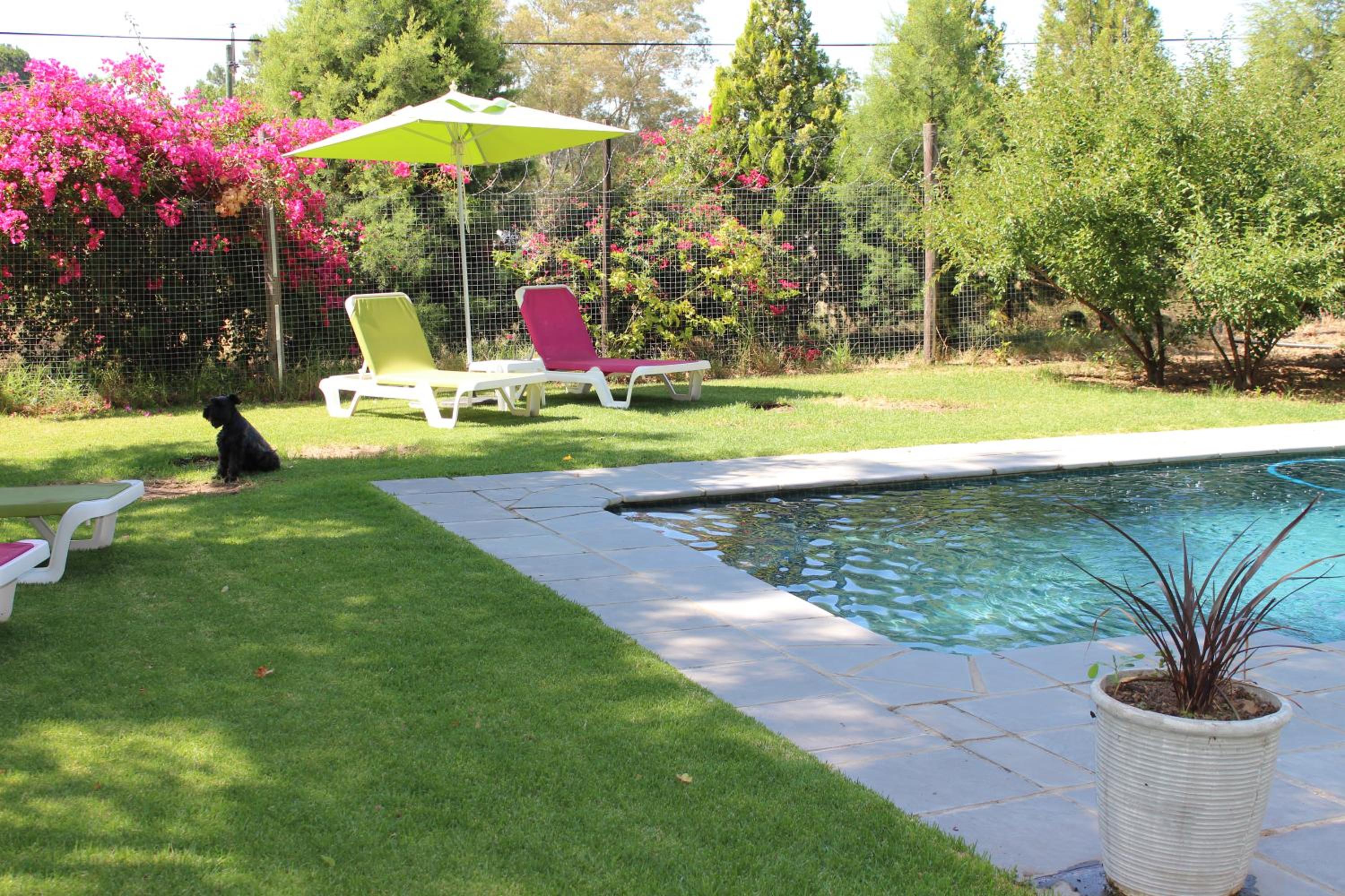 Nuwerus Lodge Paarl