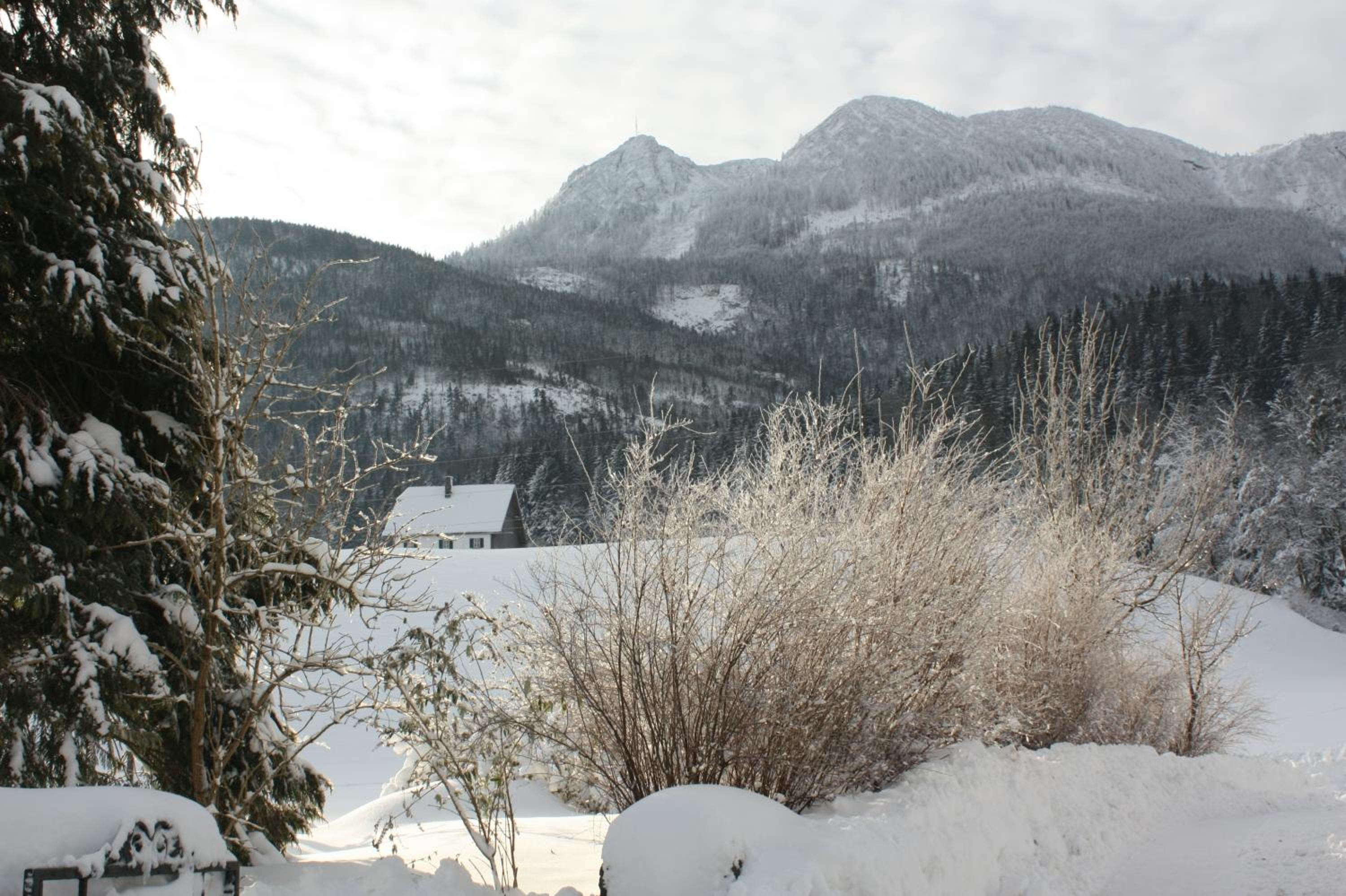 Landlust Ischl