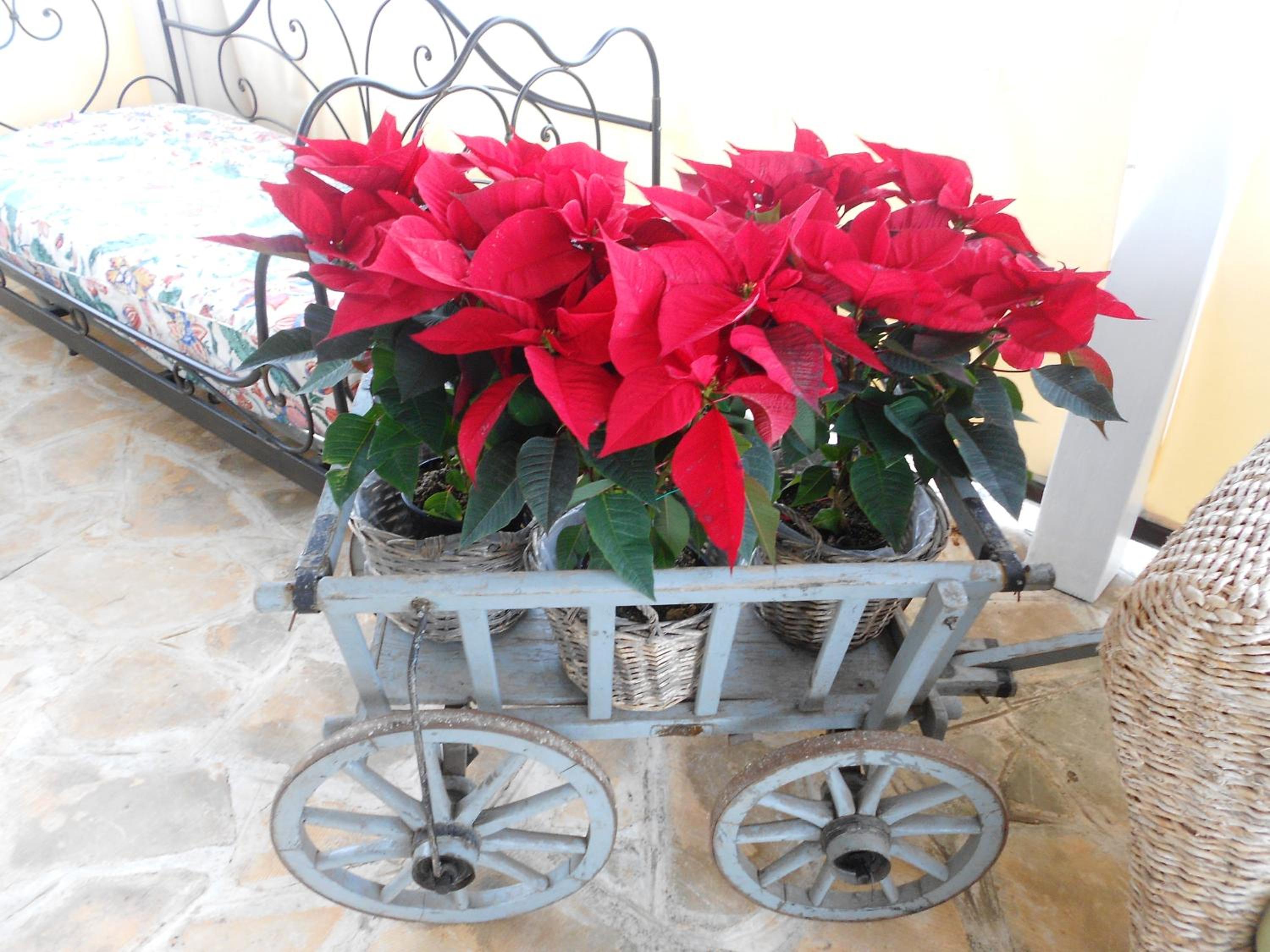 Agriturismo Salinola