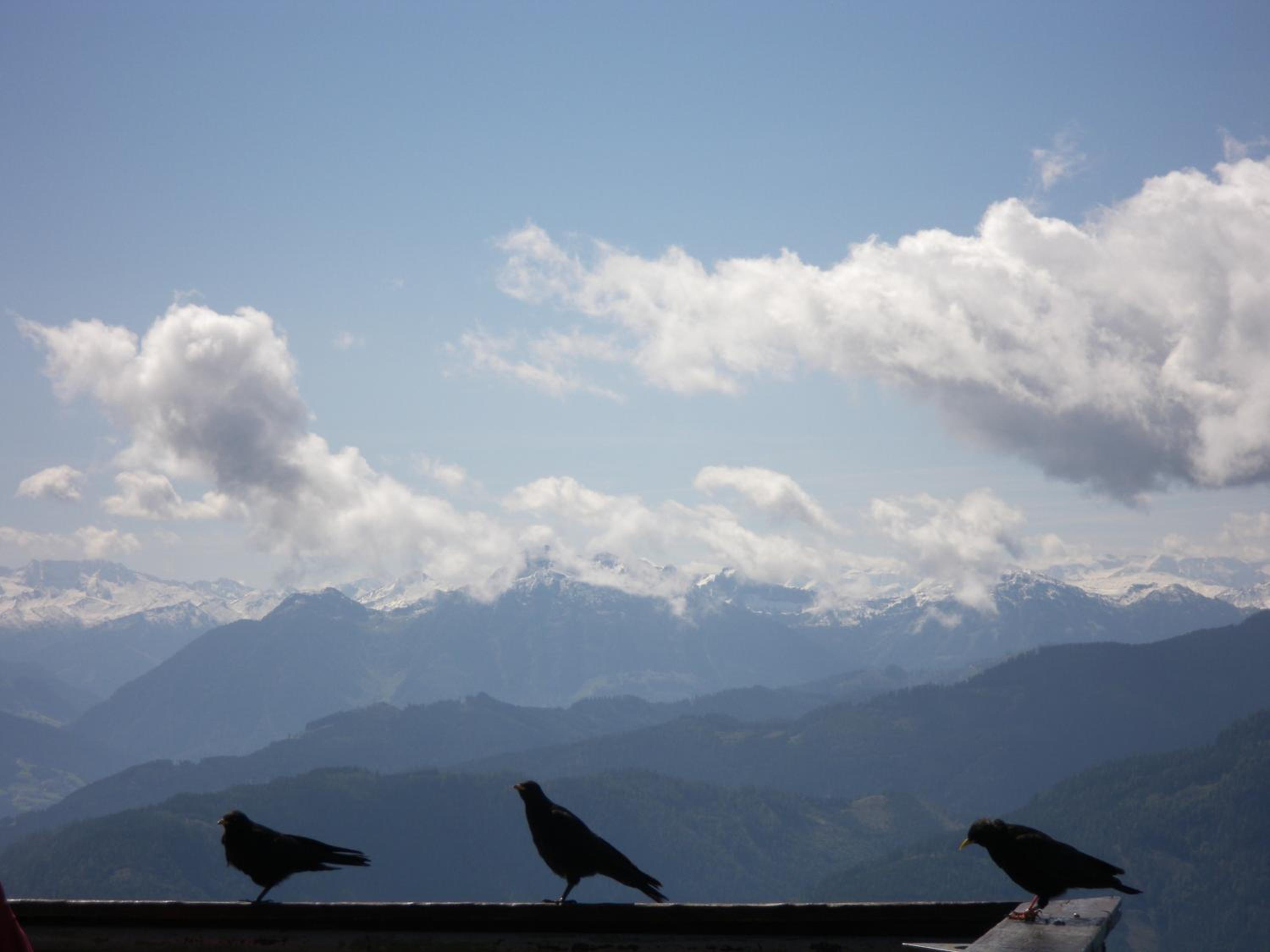 Pension Garni Burgwies ink Nationalpark Sommercard