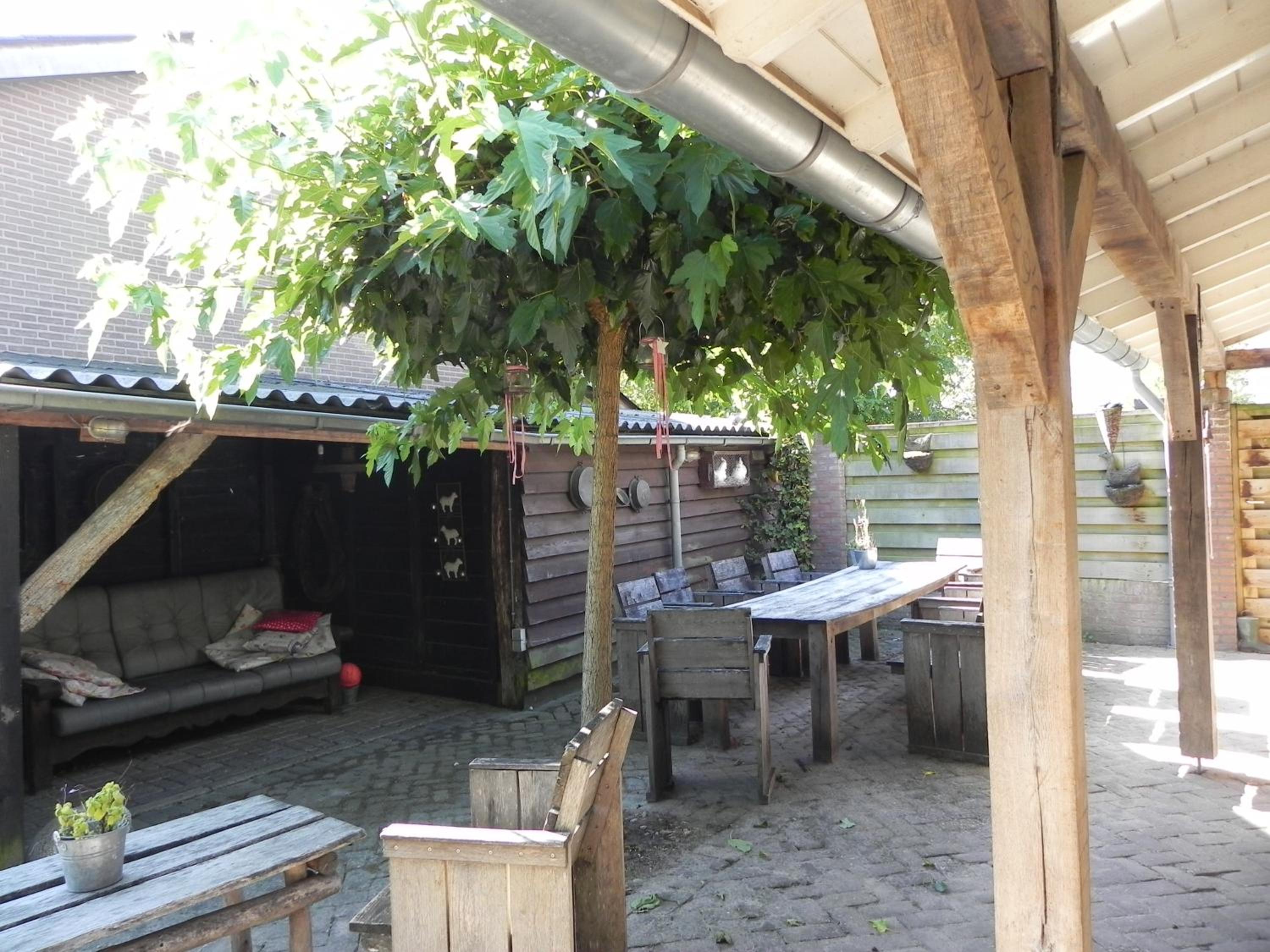 Photo 11