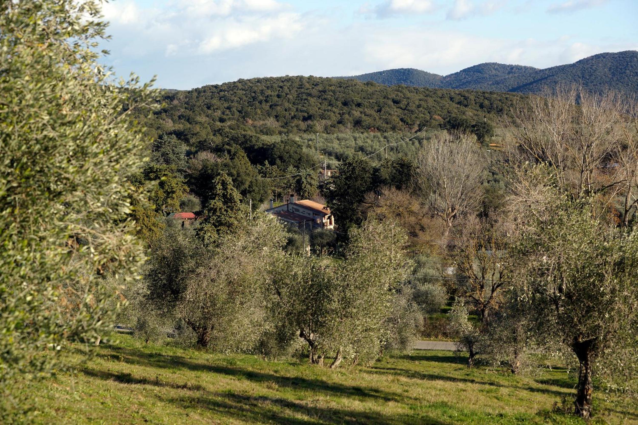 Molino della Volta