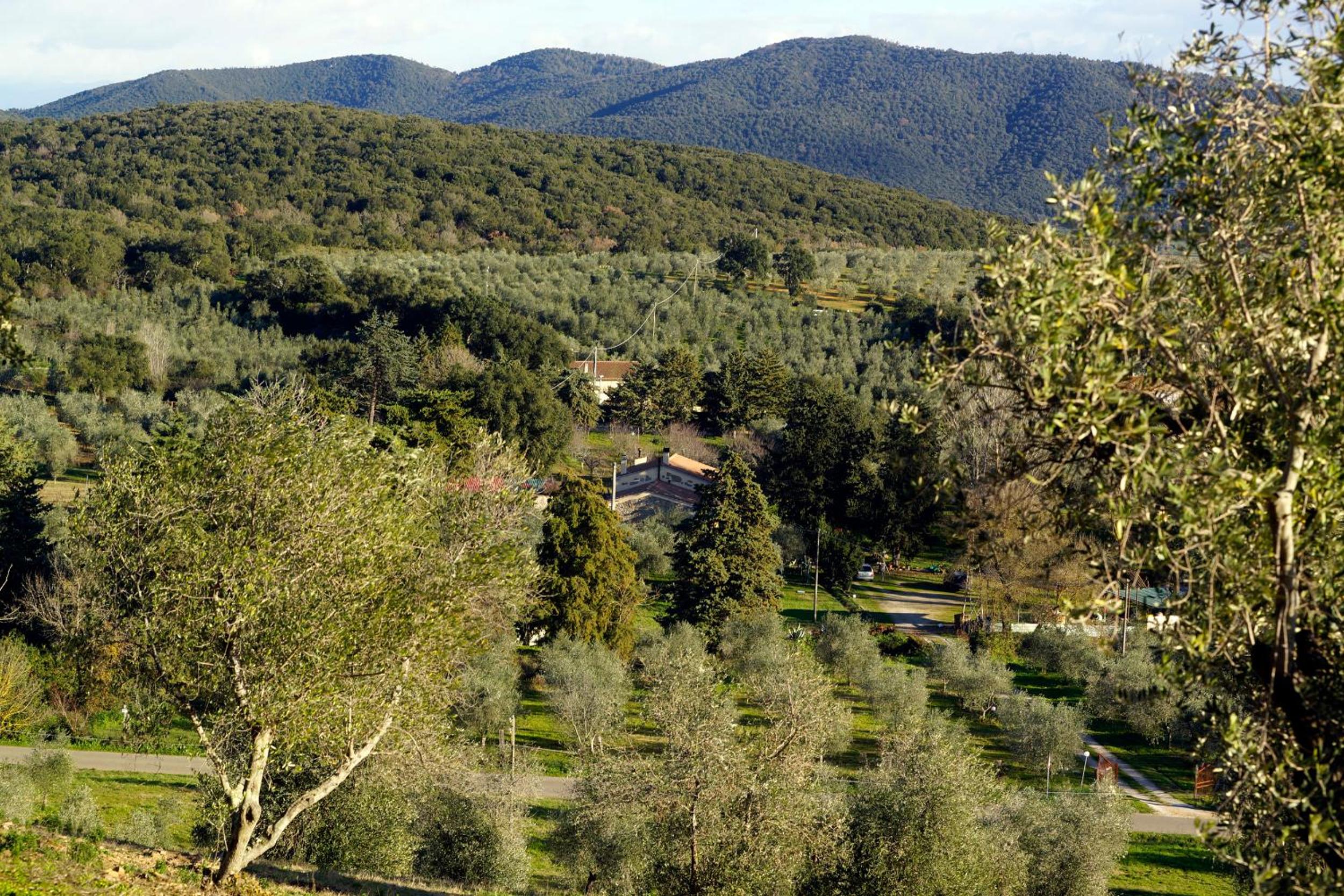 Molino della Volta