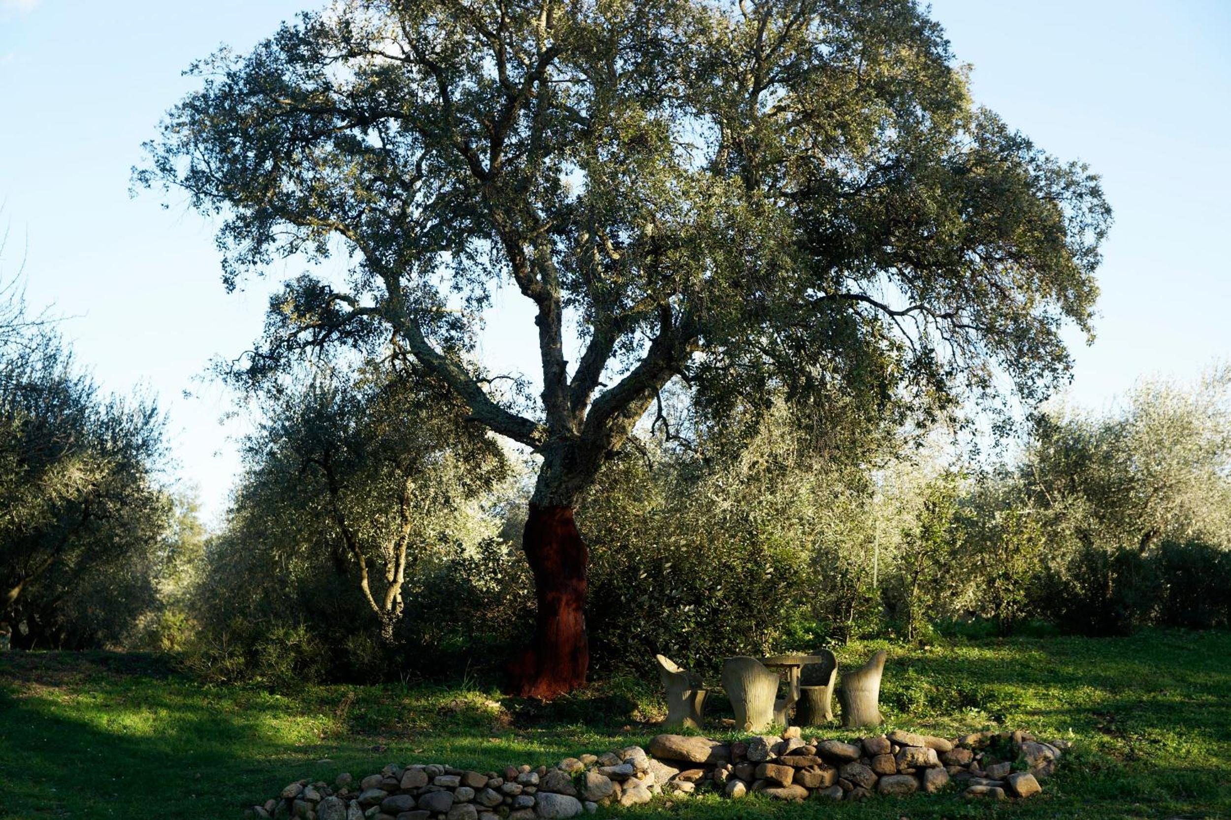 Molino della Volta