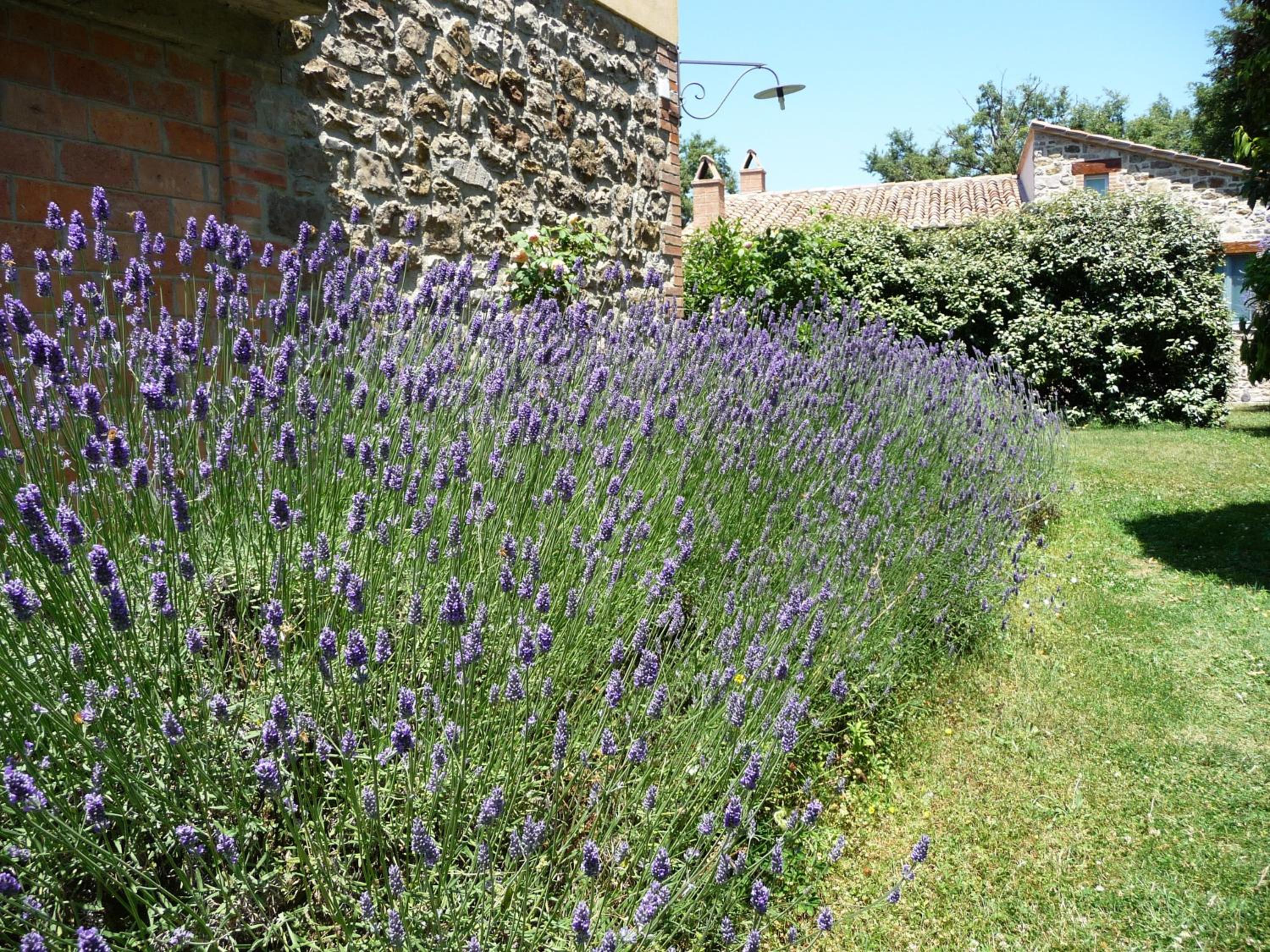 Photo 43