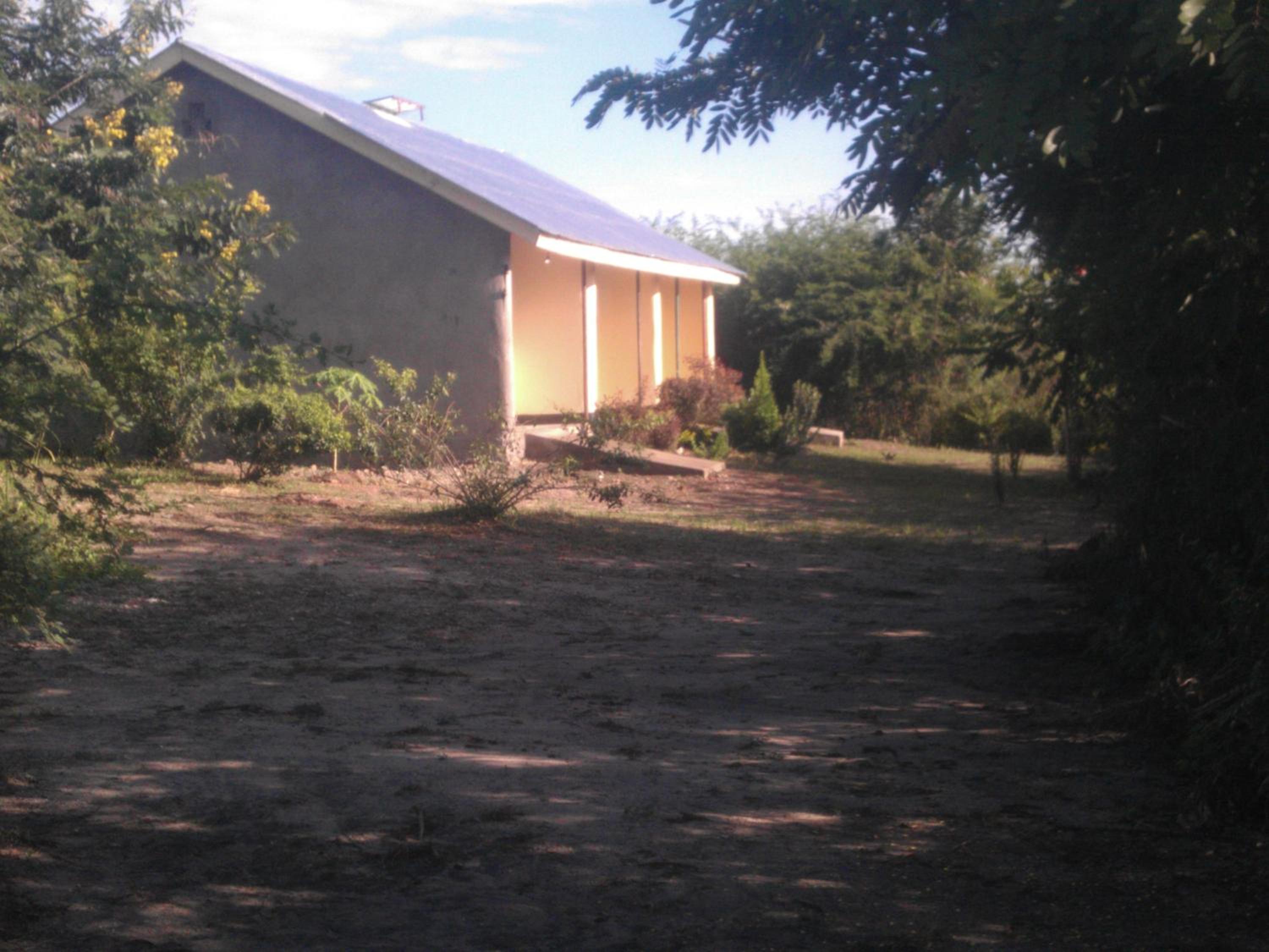 The Elephant Home
