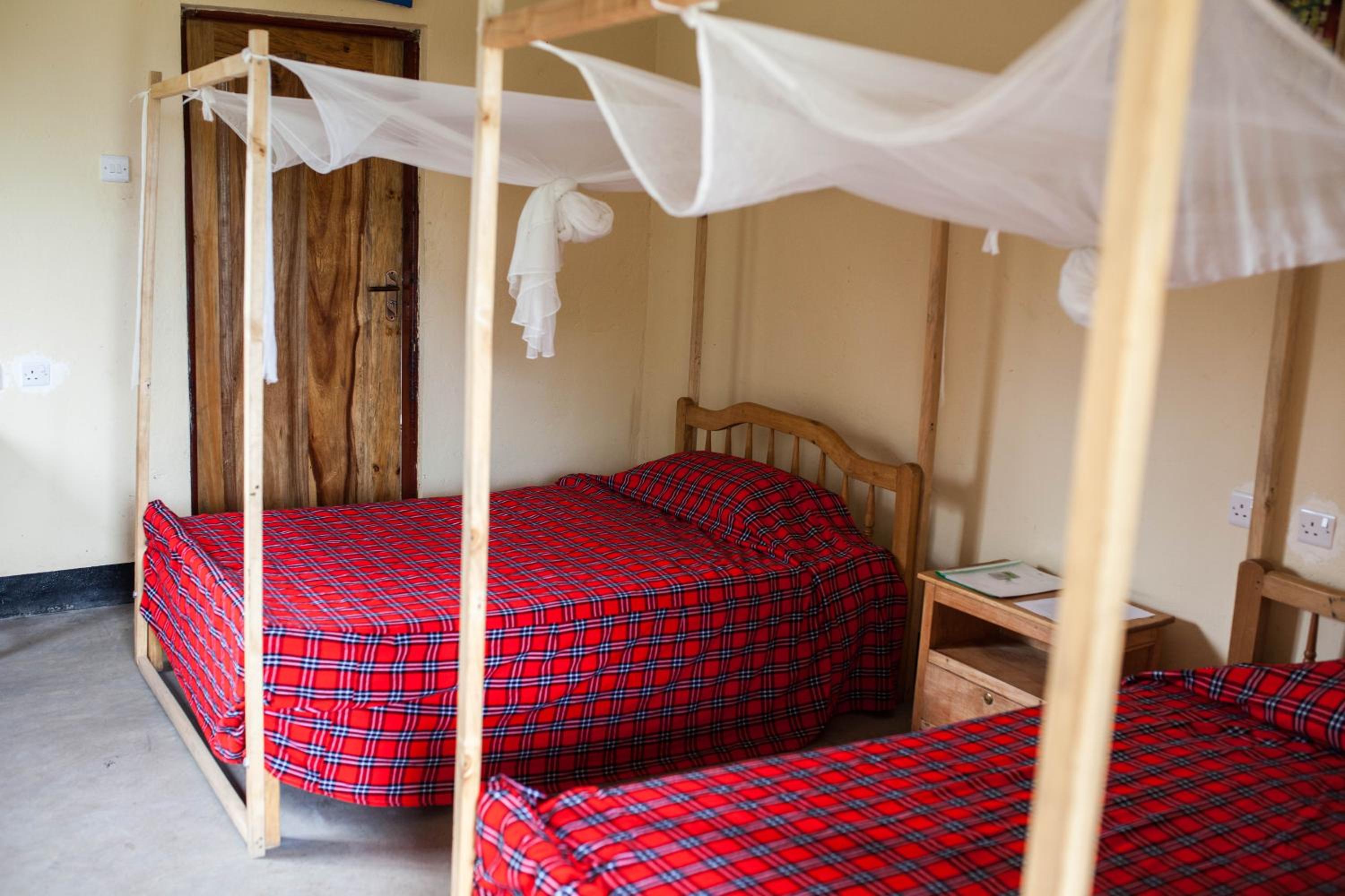 The Elephant Home