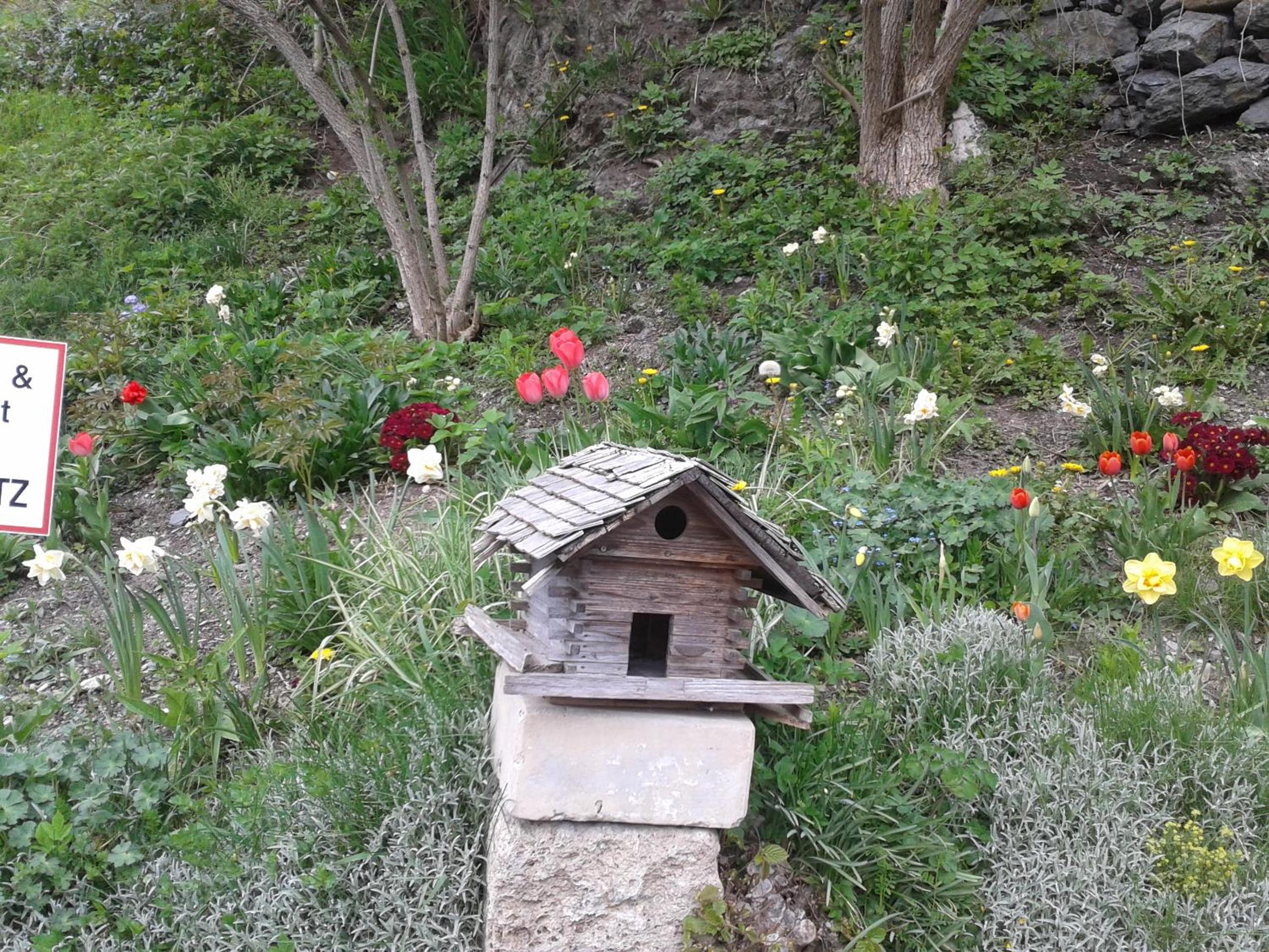 Ferienhaus Forsthof