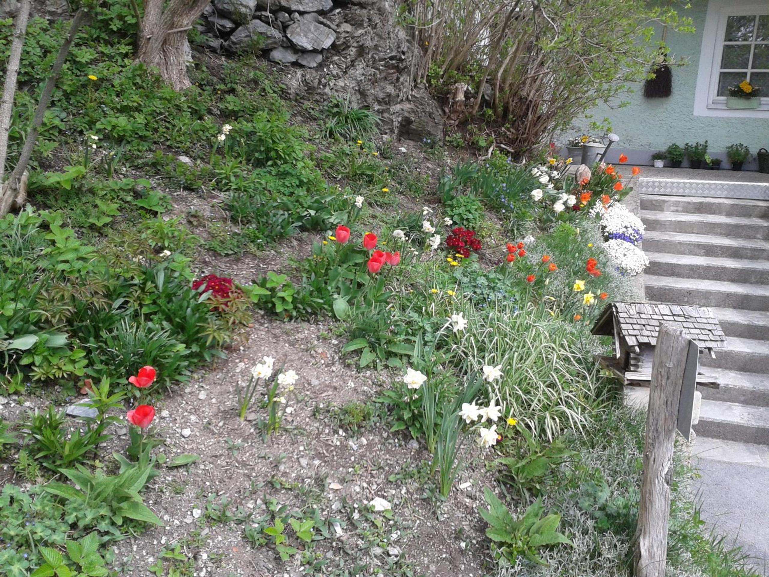 Ferienhaus Forsthof