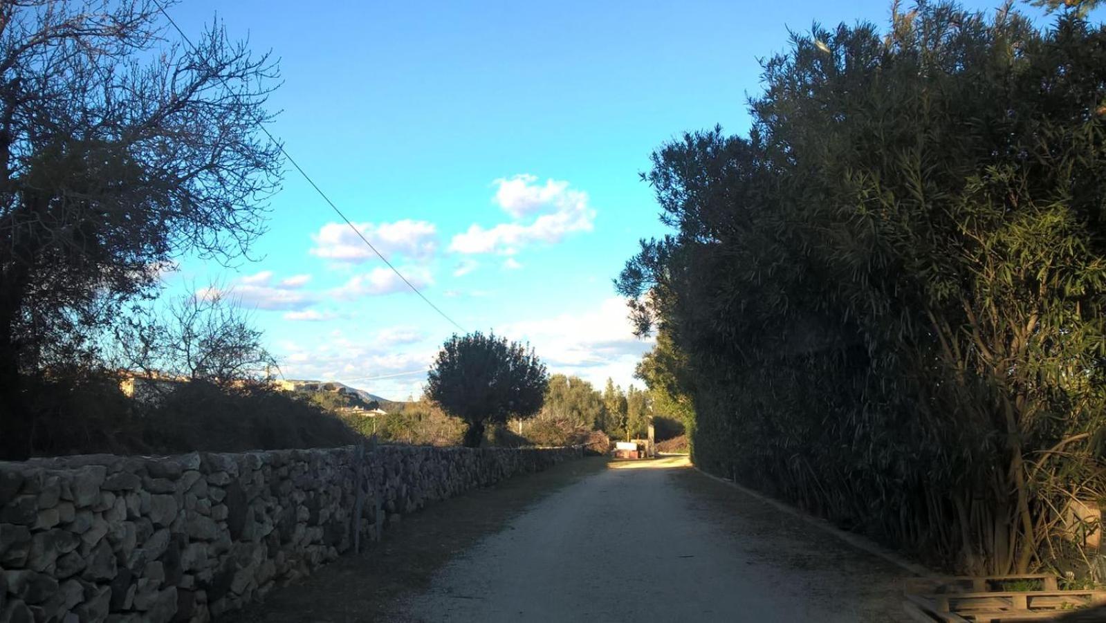 Photo 31