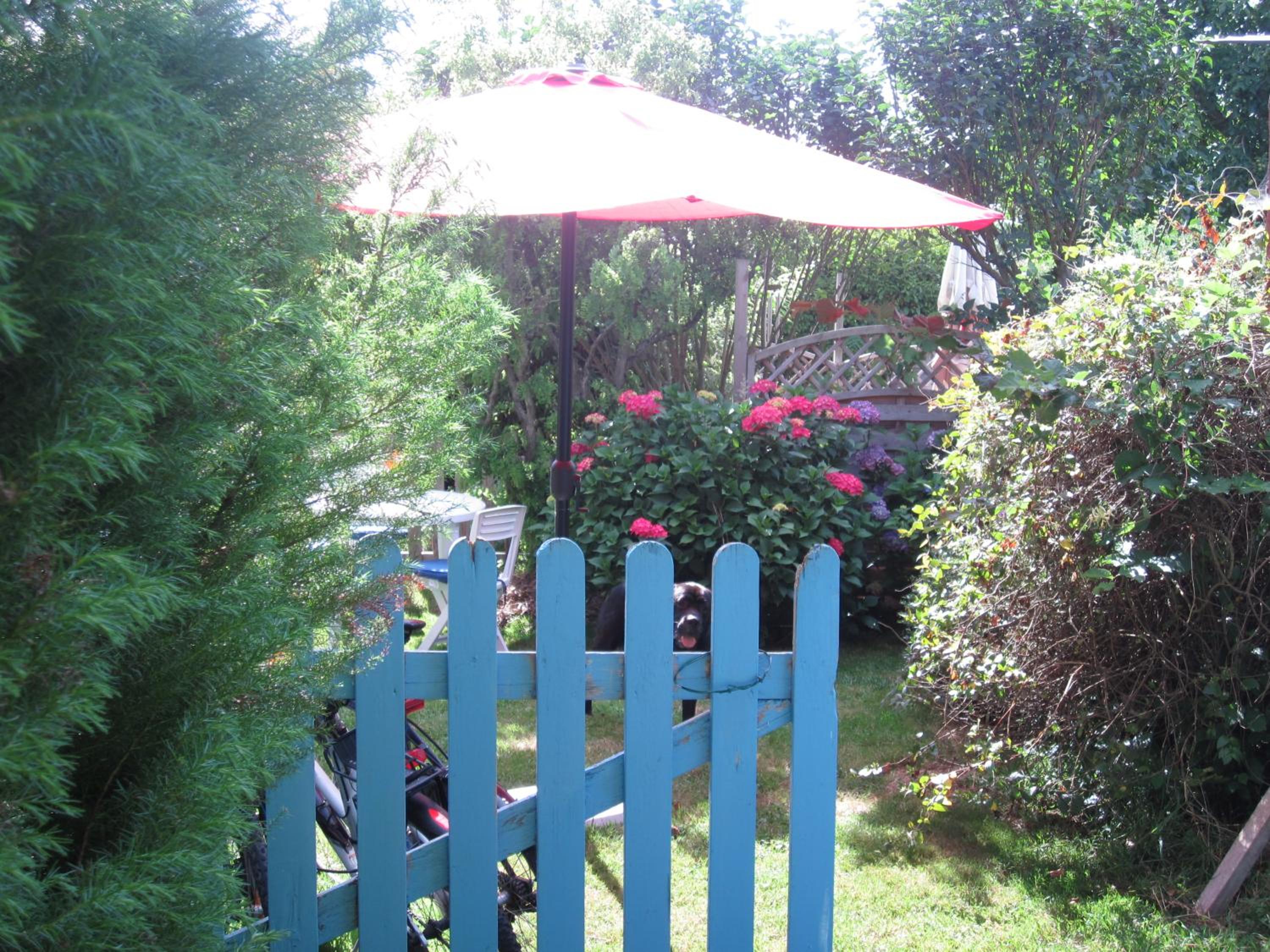 Photo 9