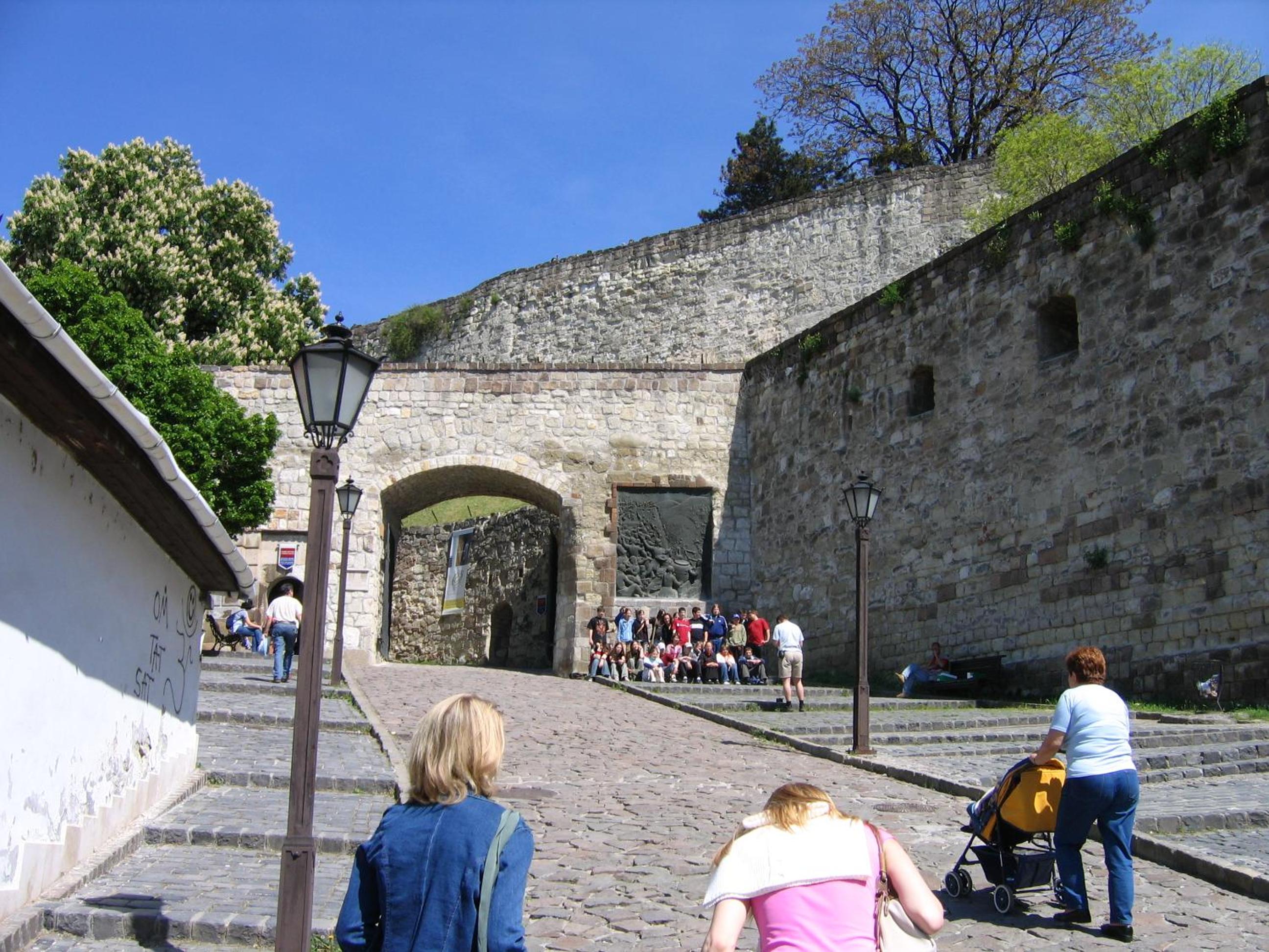 Photo 18