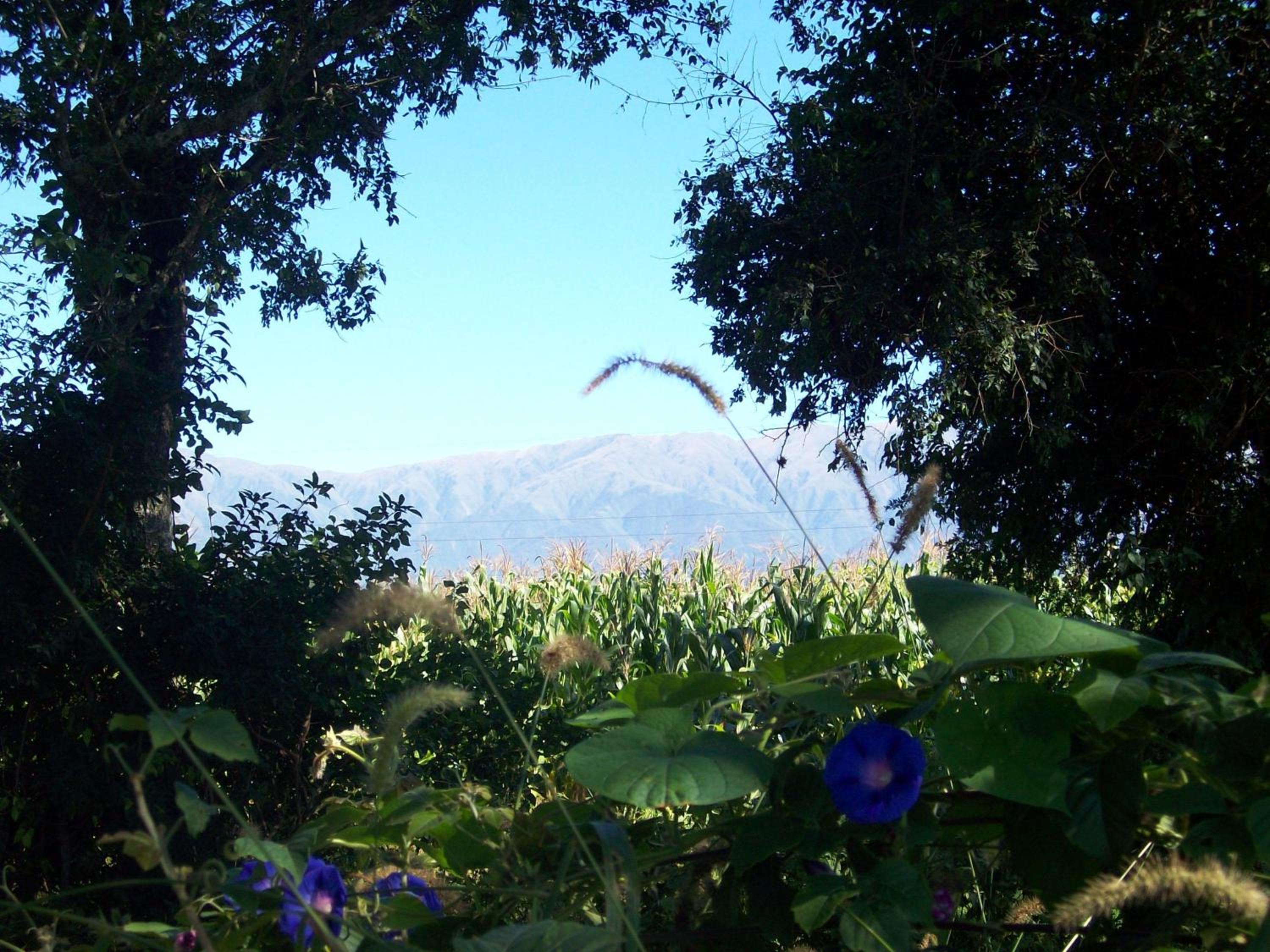 Finca La Vertiente
