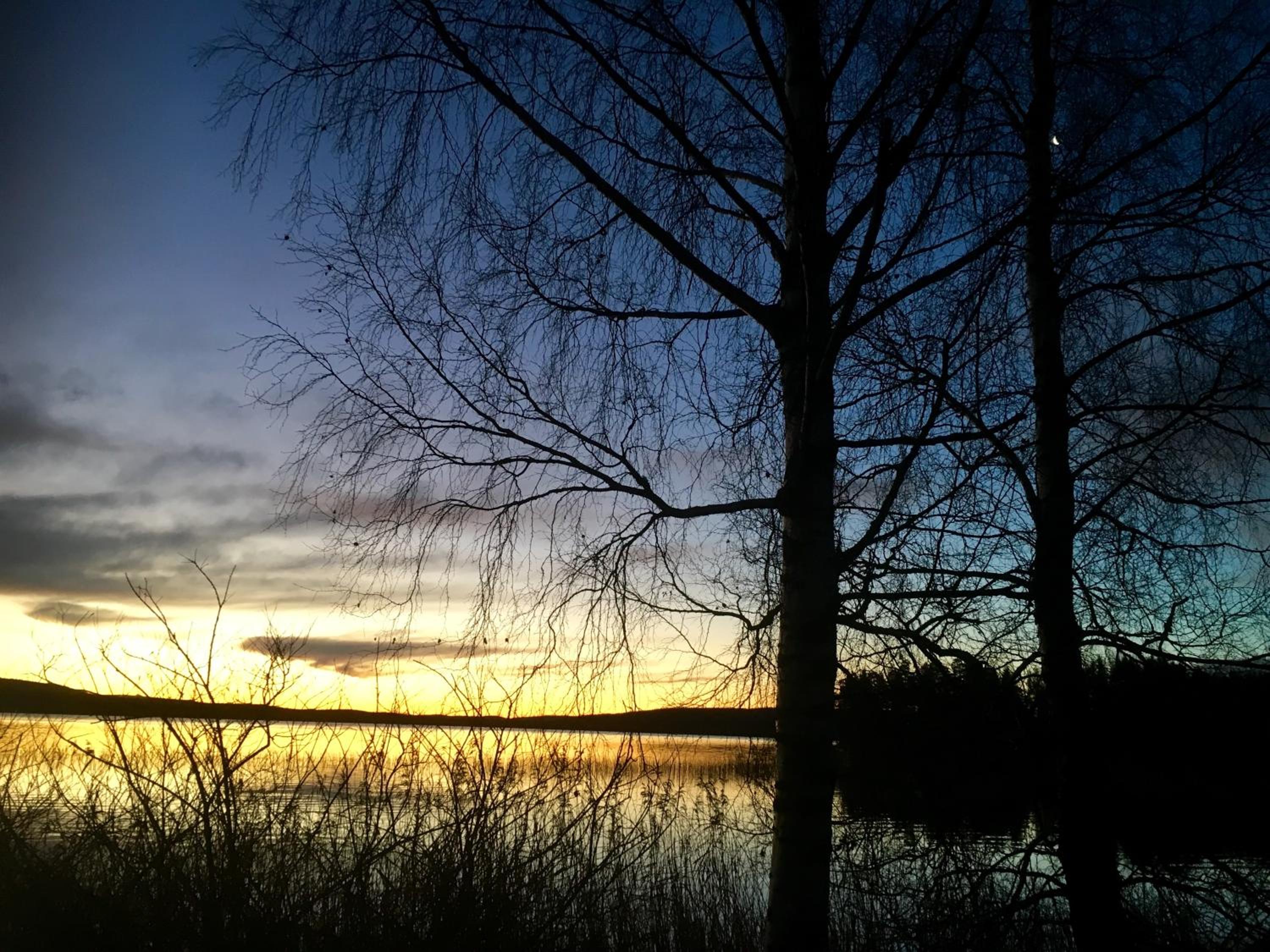 Photo 47