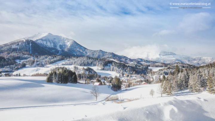 APARTMENTS zum Wohlfühlen MARIAZELL