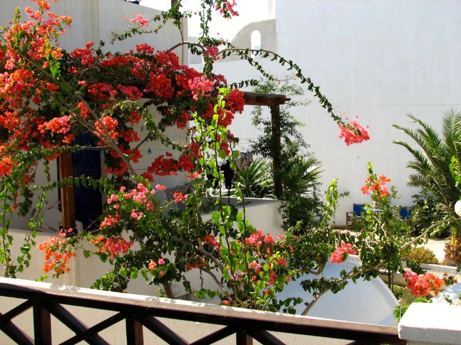 Frangipani Penthouse