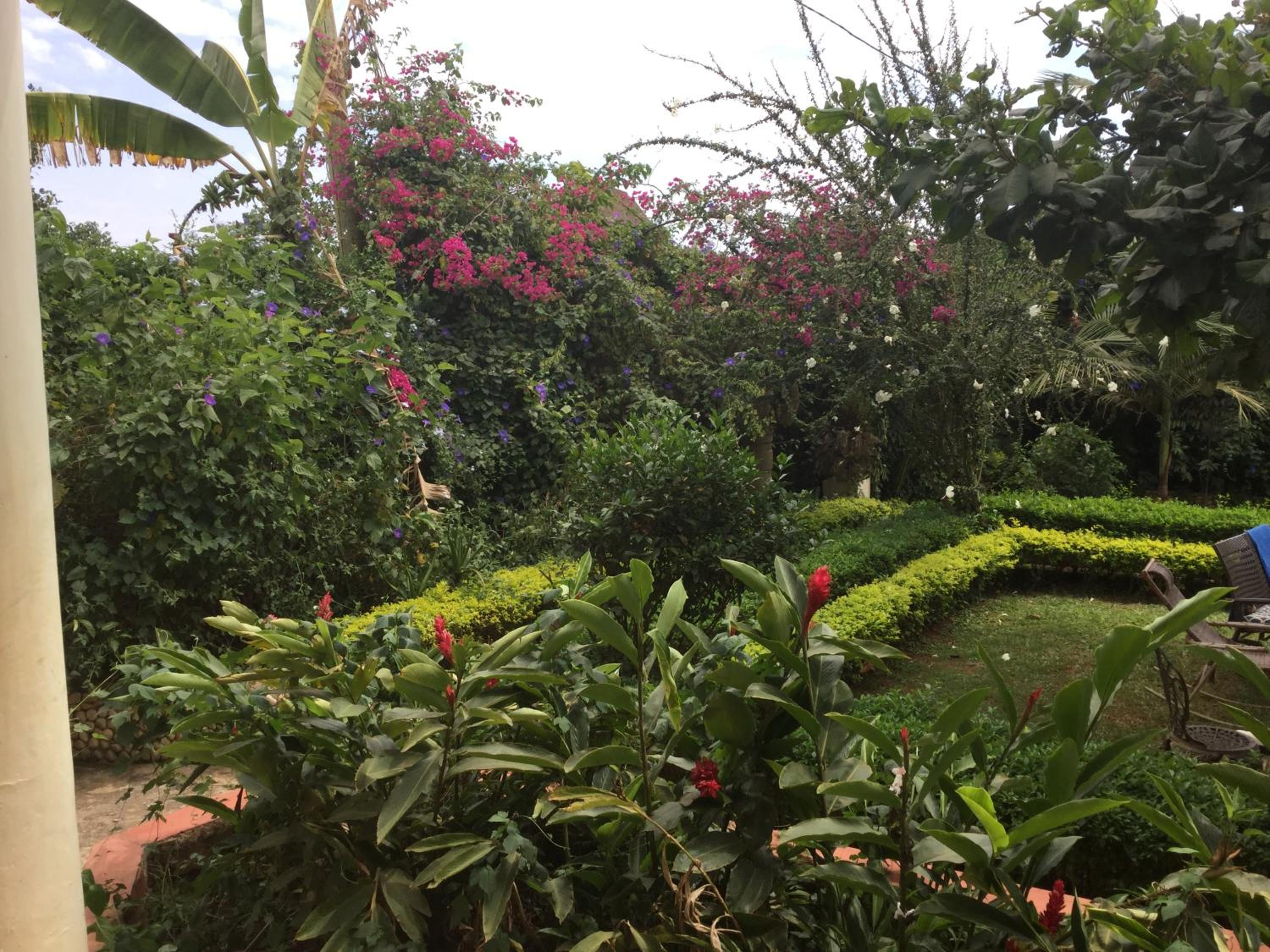 Malakai Eco Lodge