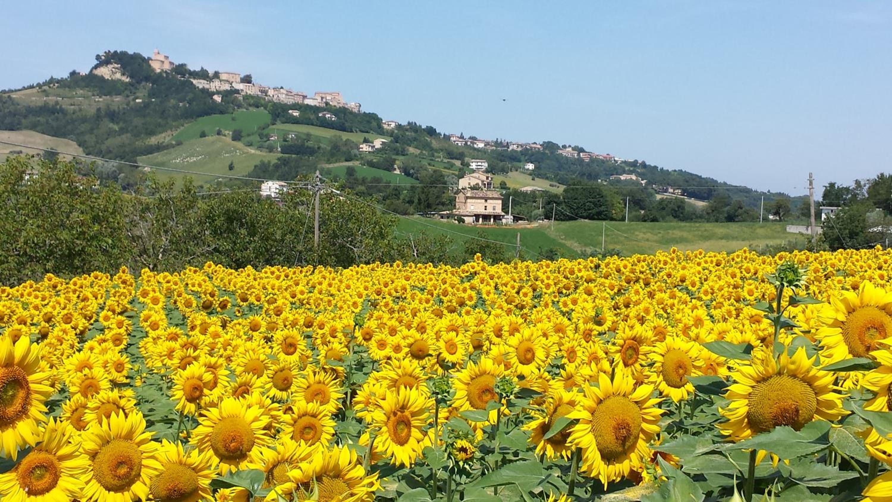 B&B Antica Fonte del Latte