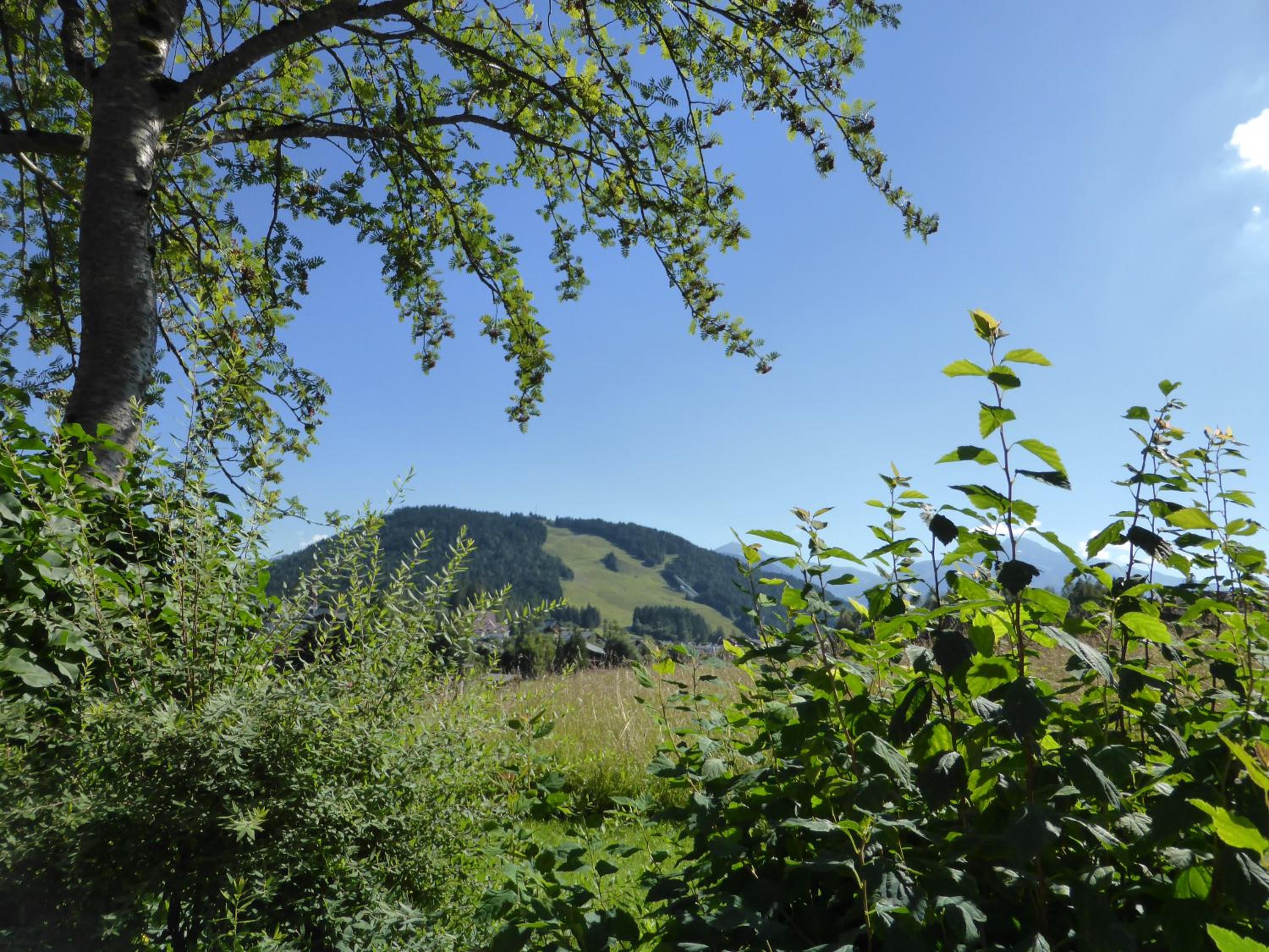 Haus Südblick Appartements