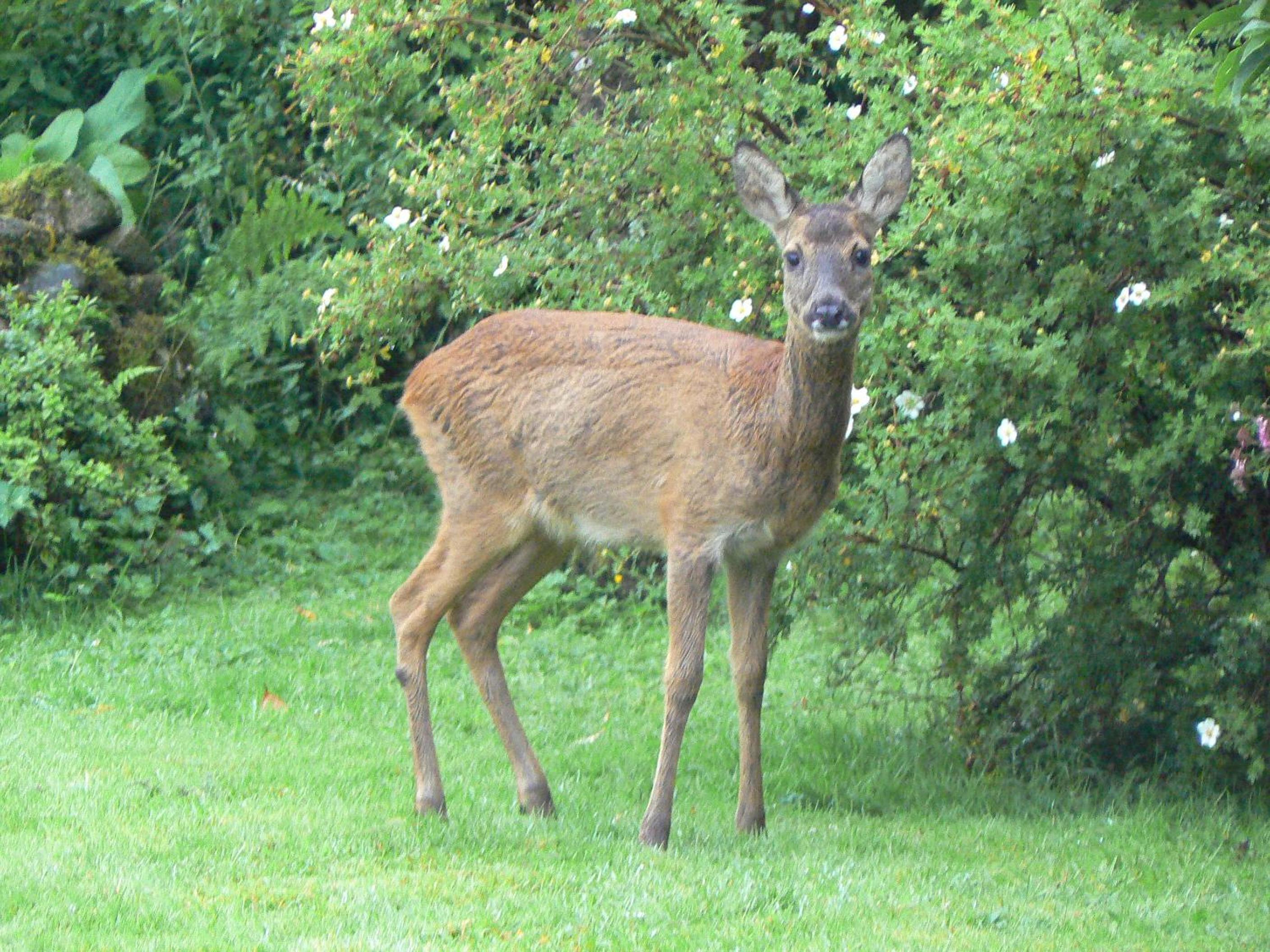 Photo 22