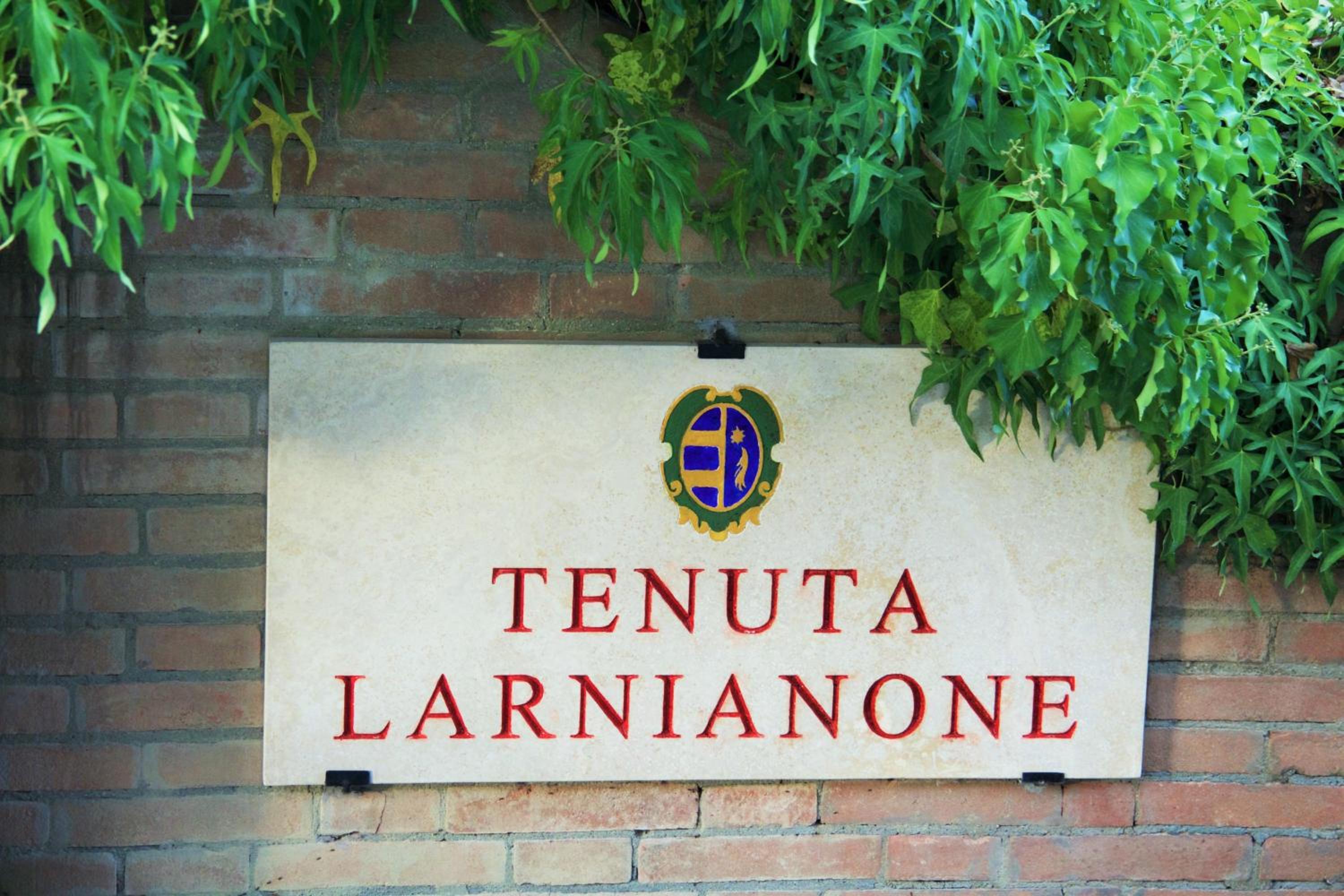 Villa Larniano photo 2