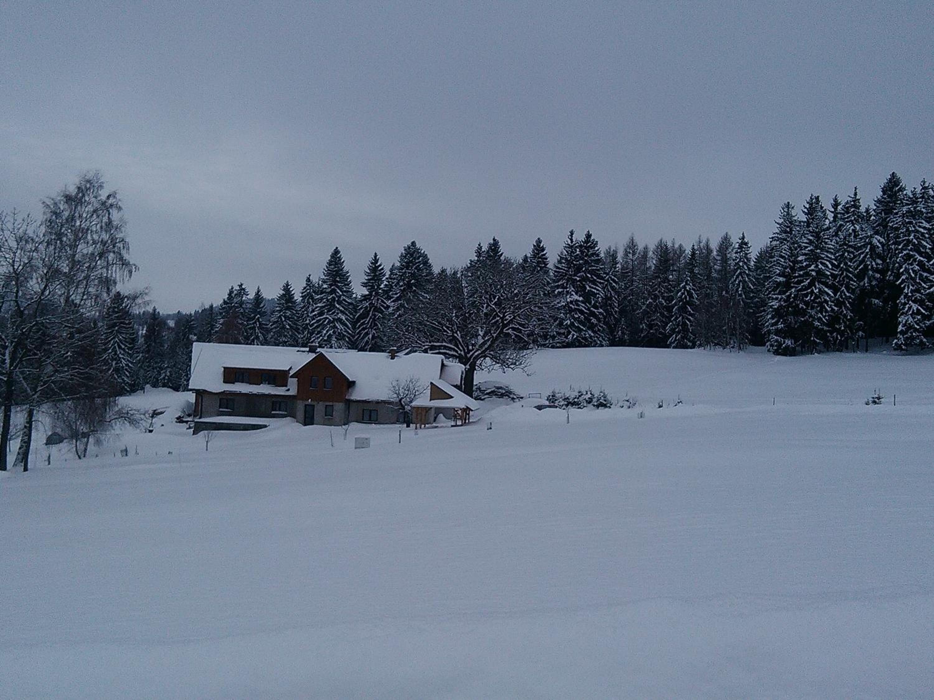 Photo 43