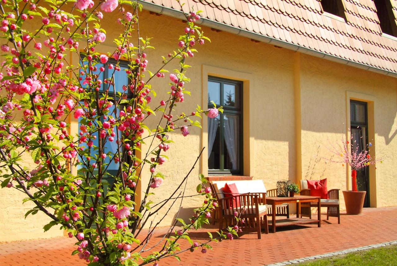 Matys Landhausperle an der Müritz