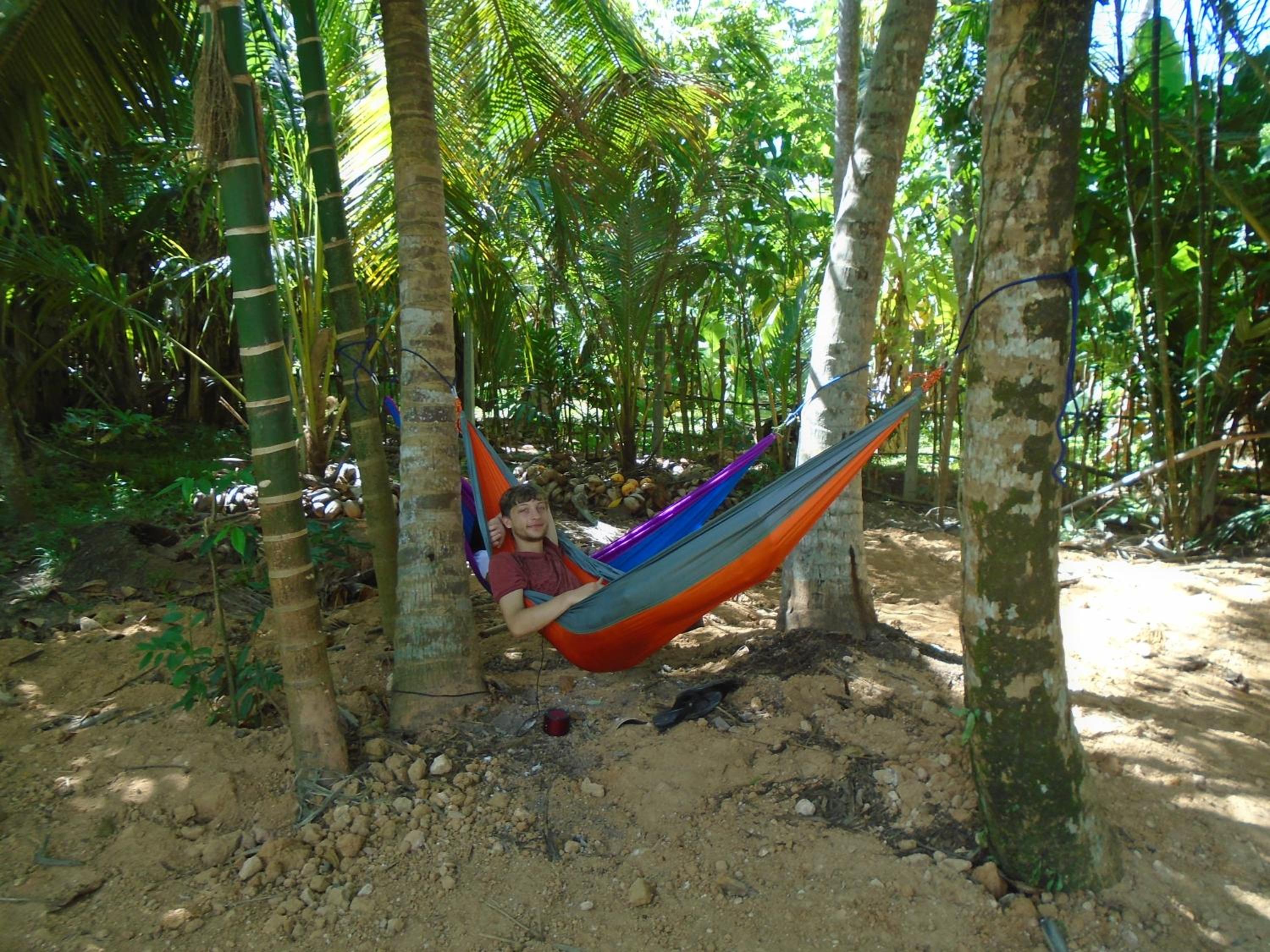 Tropical Paradise