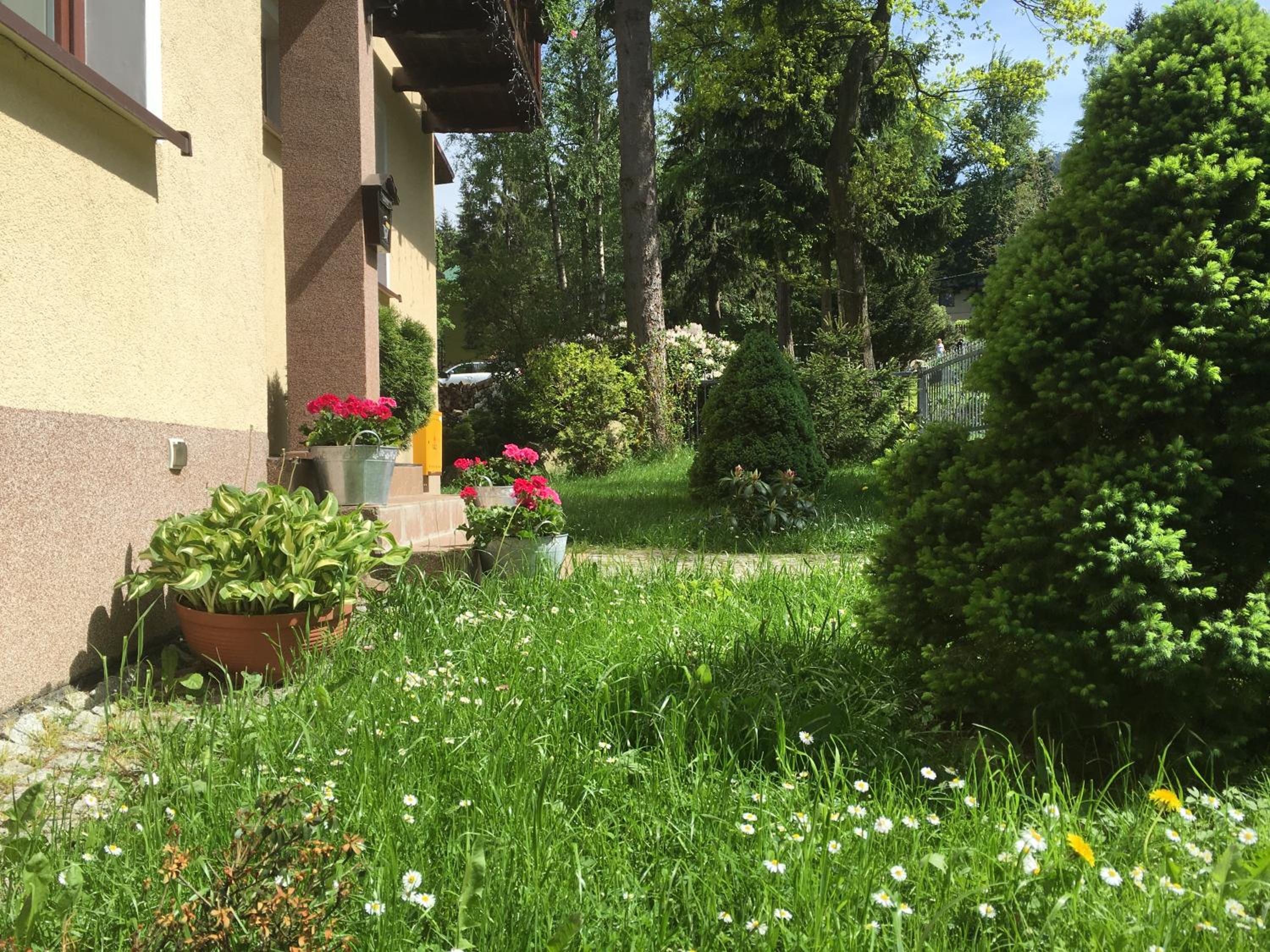 Photo 31