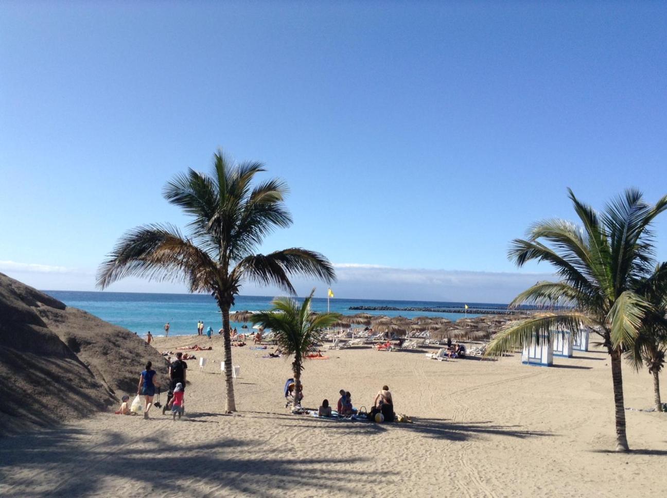 NEW Beautiful Apartment!Beaches nearby!Ocean view! view 4