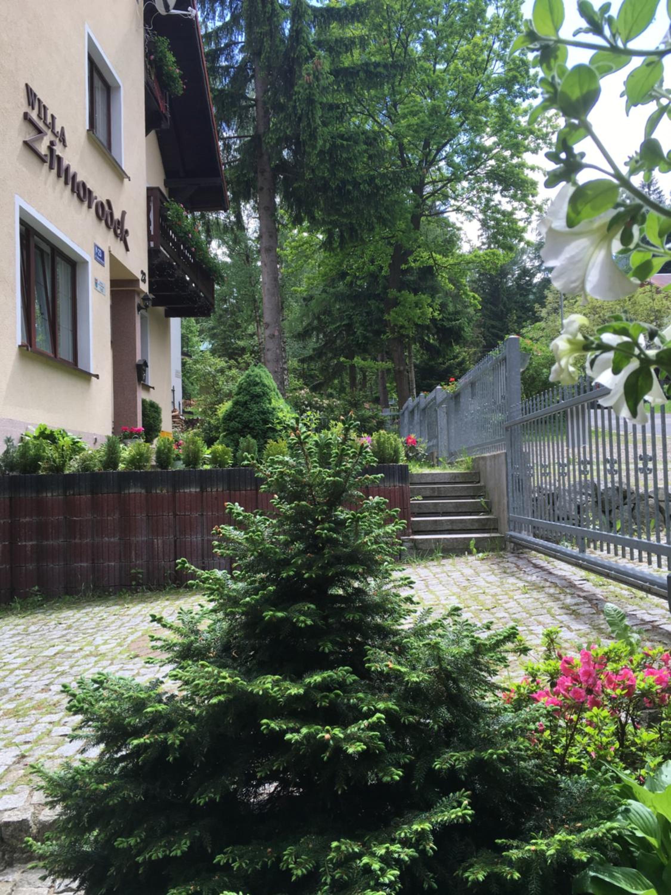 Photo 47