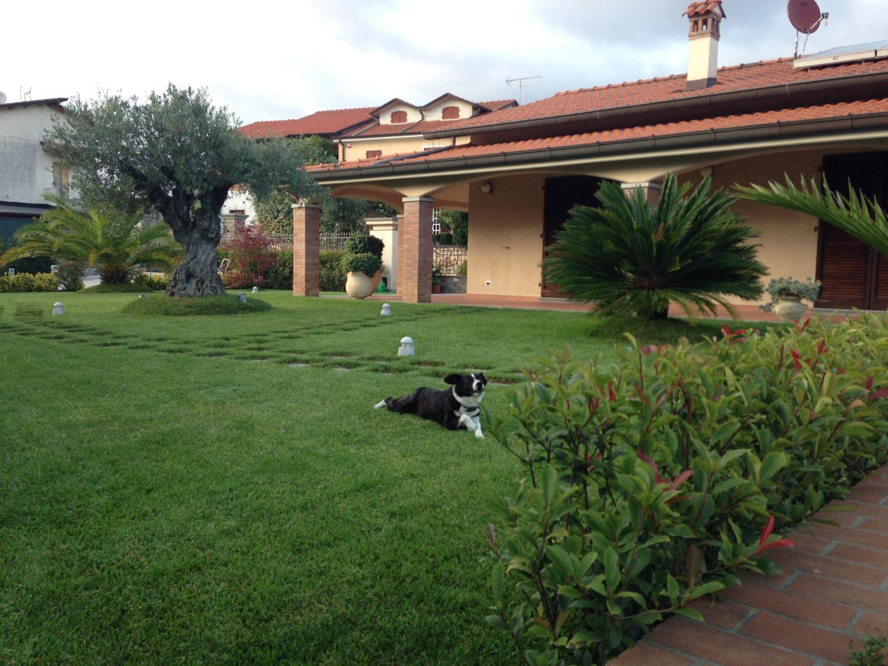 Photo 6