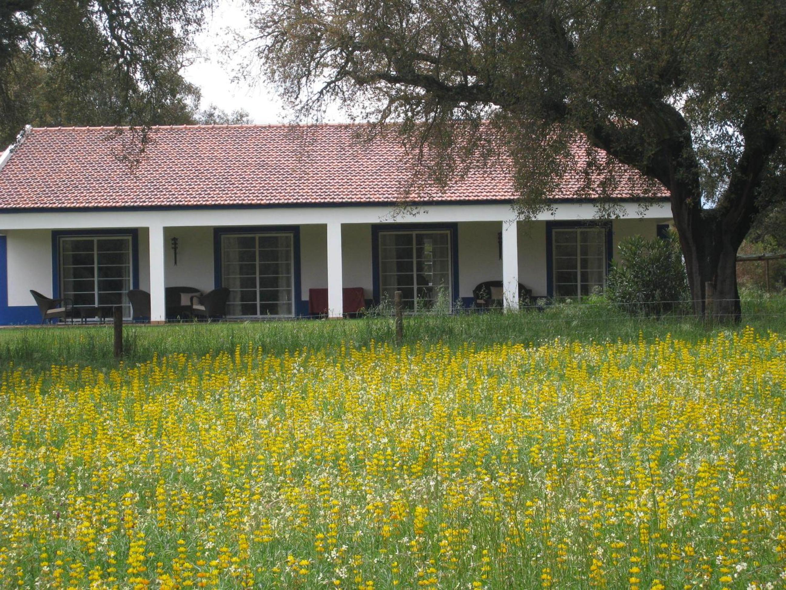 Monte das Faias Cork Farm Hotel