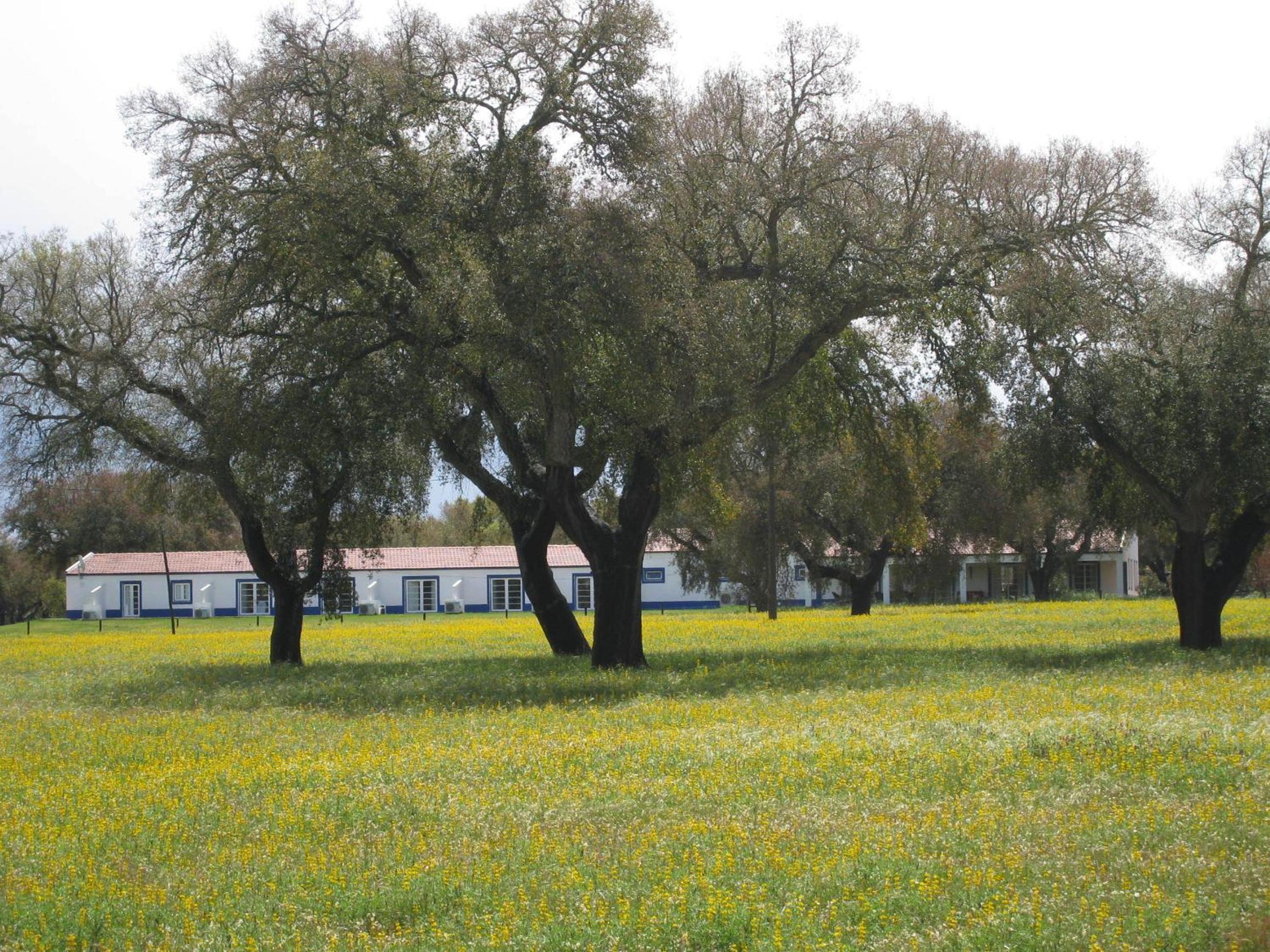 Monte das Faias Cork Farm Hotel