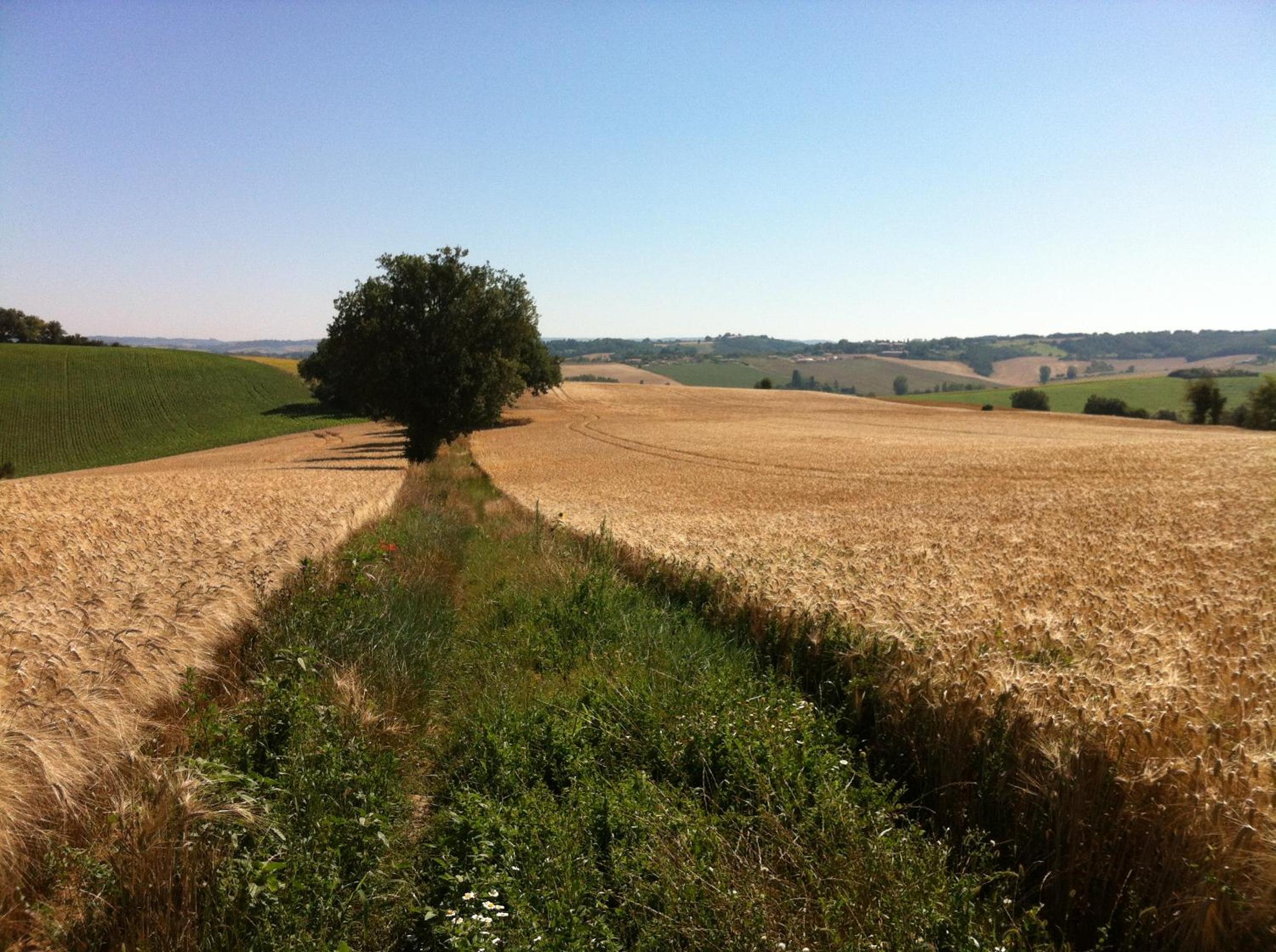 Photo 38