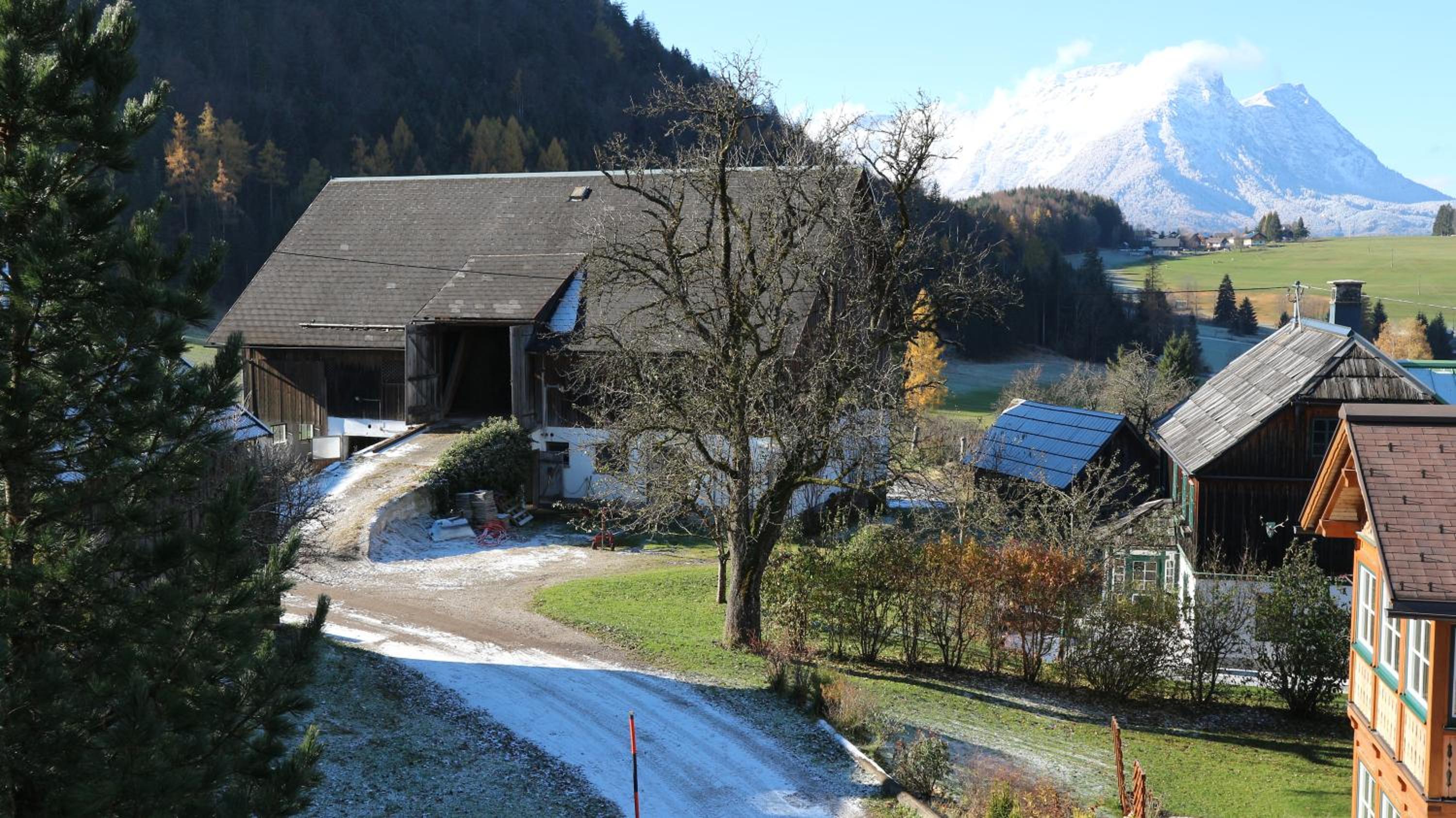 Haus Galler - Urlaub am Bauernhof