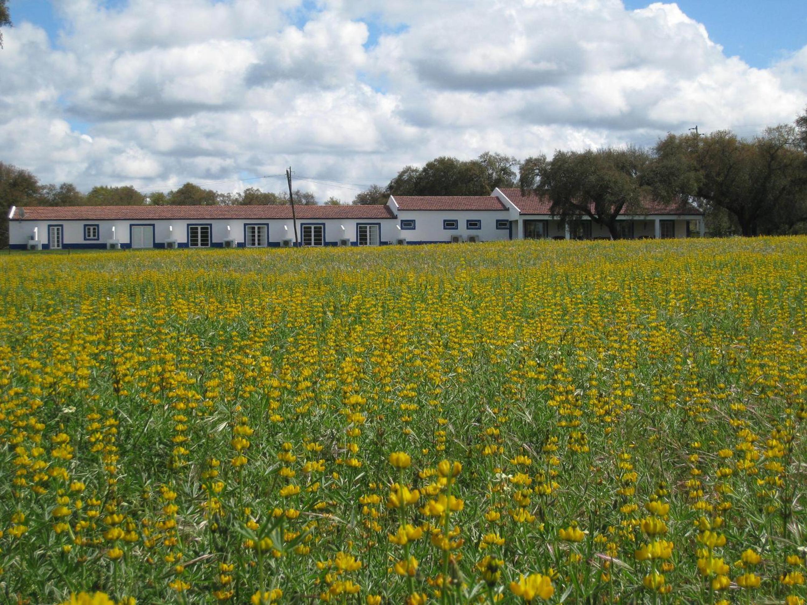 Monte das Faias Cork Farm Hotel