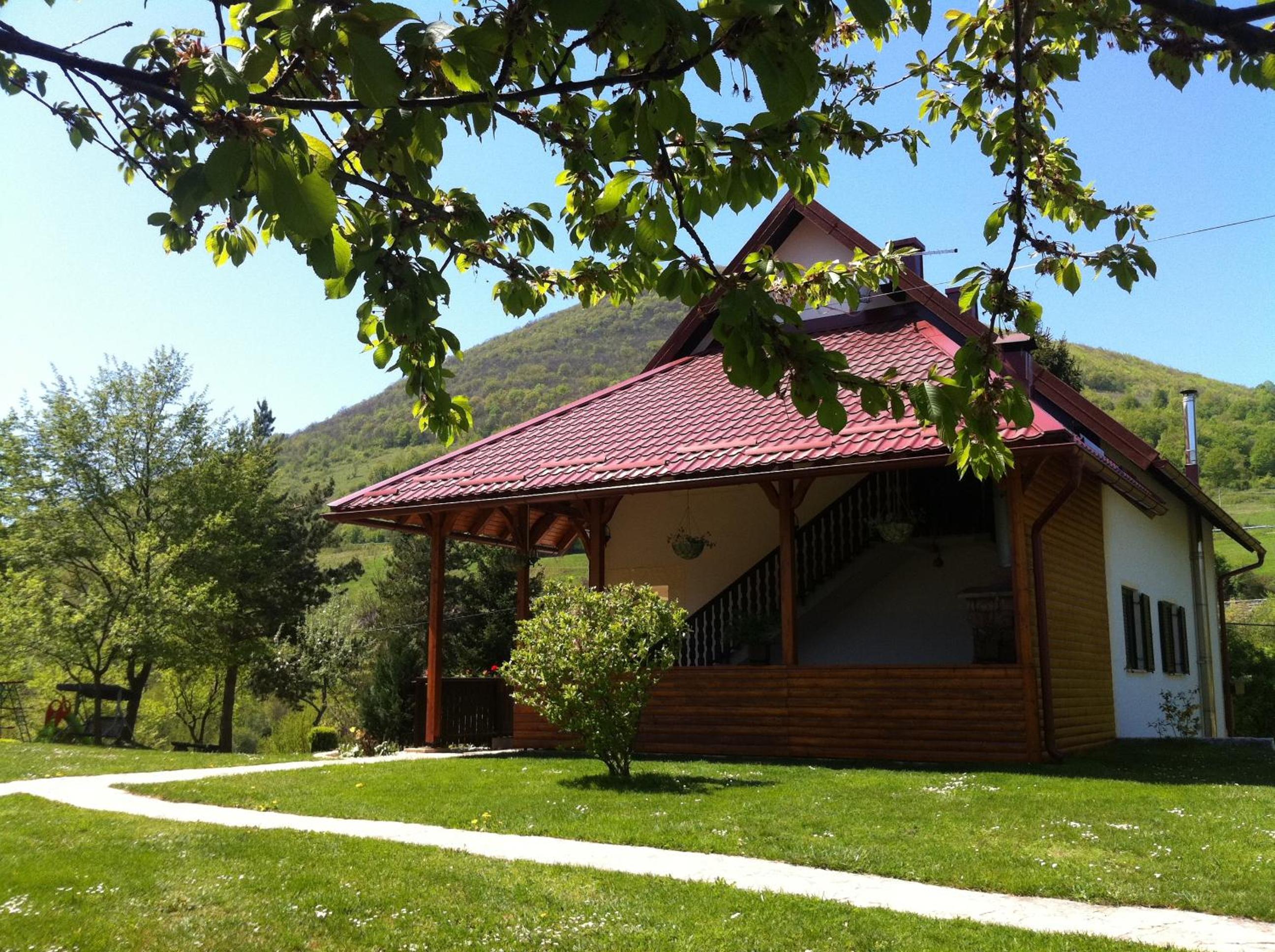 Photo 6