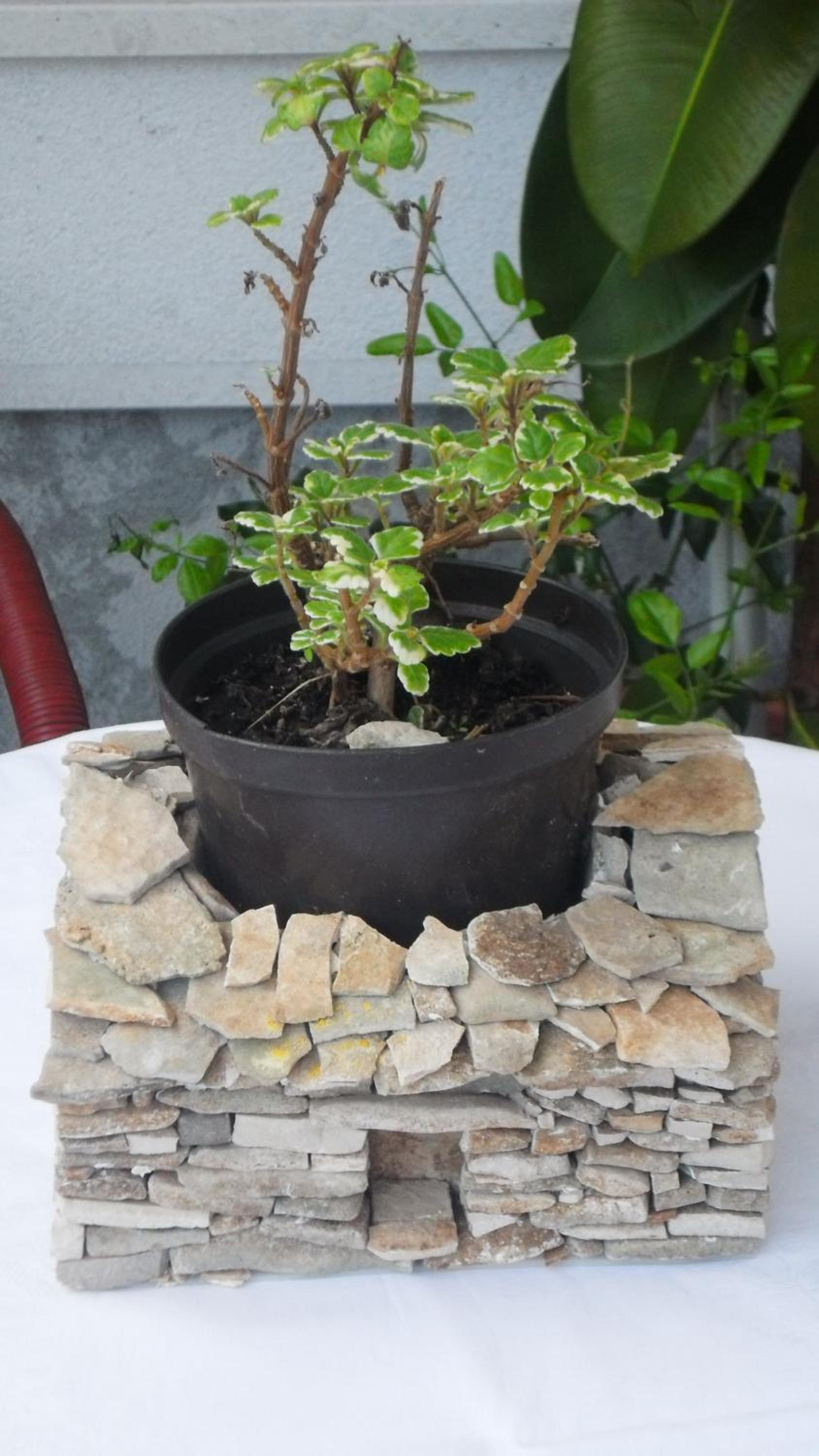 Photo 27