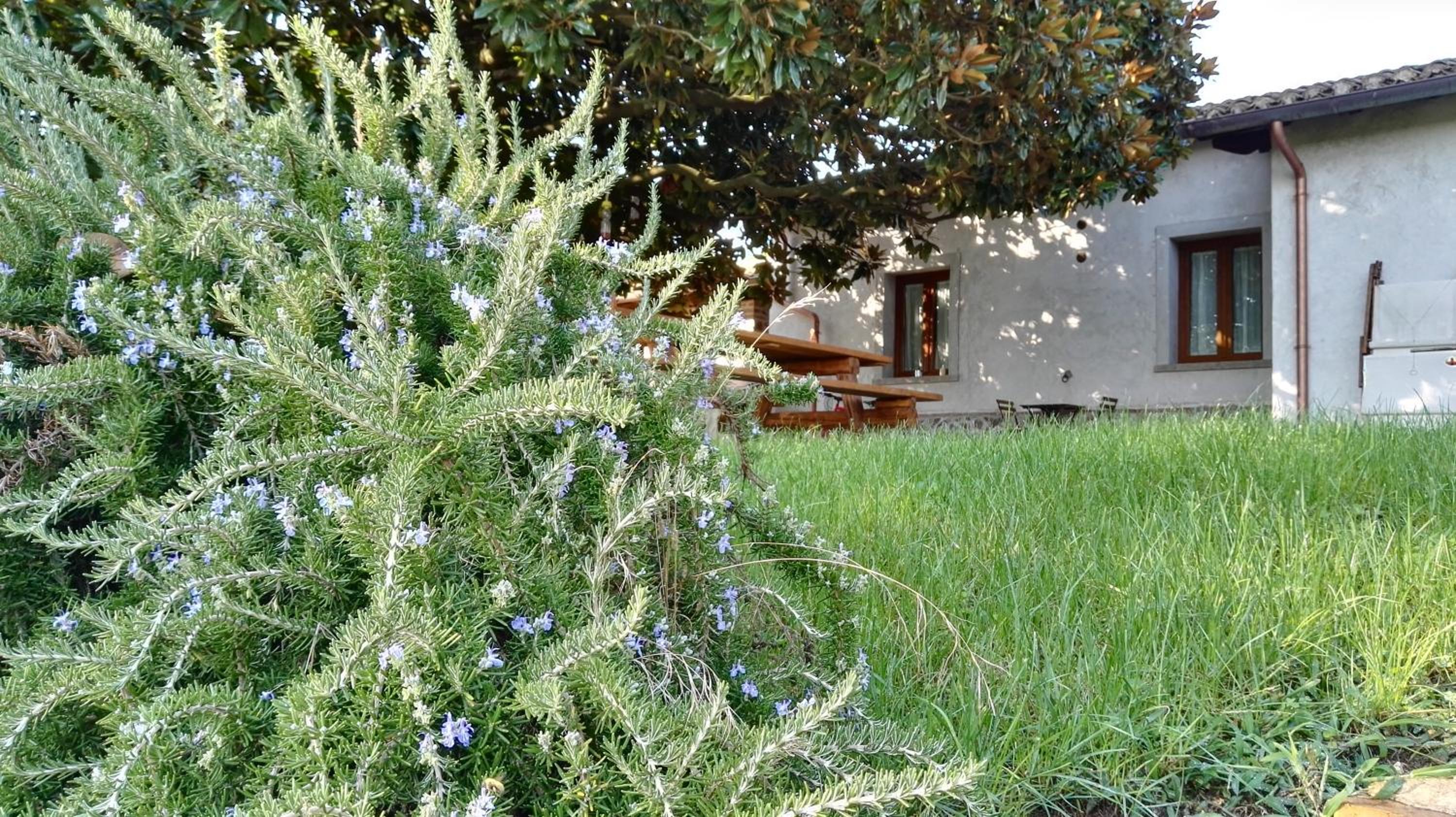 other