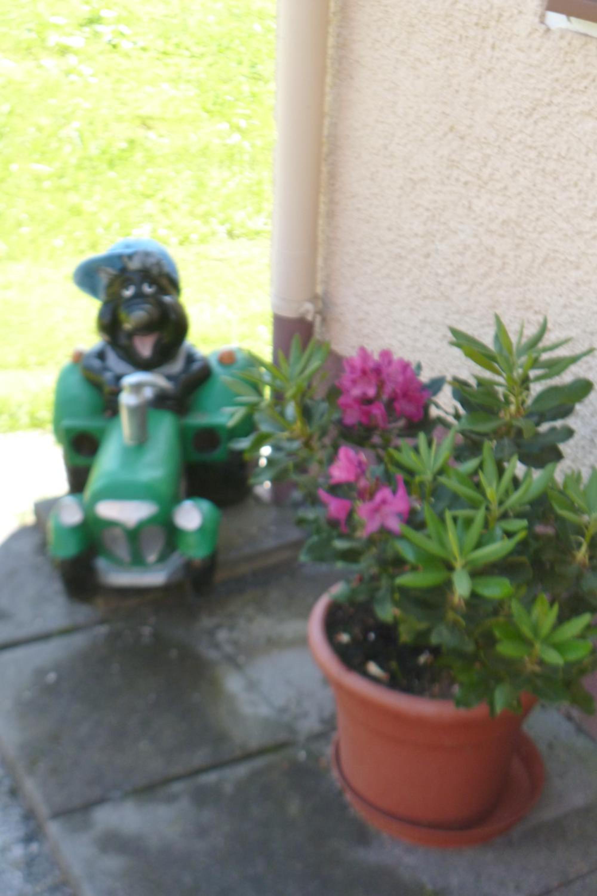 Photo 25
