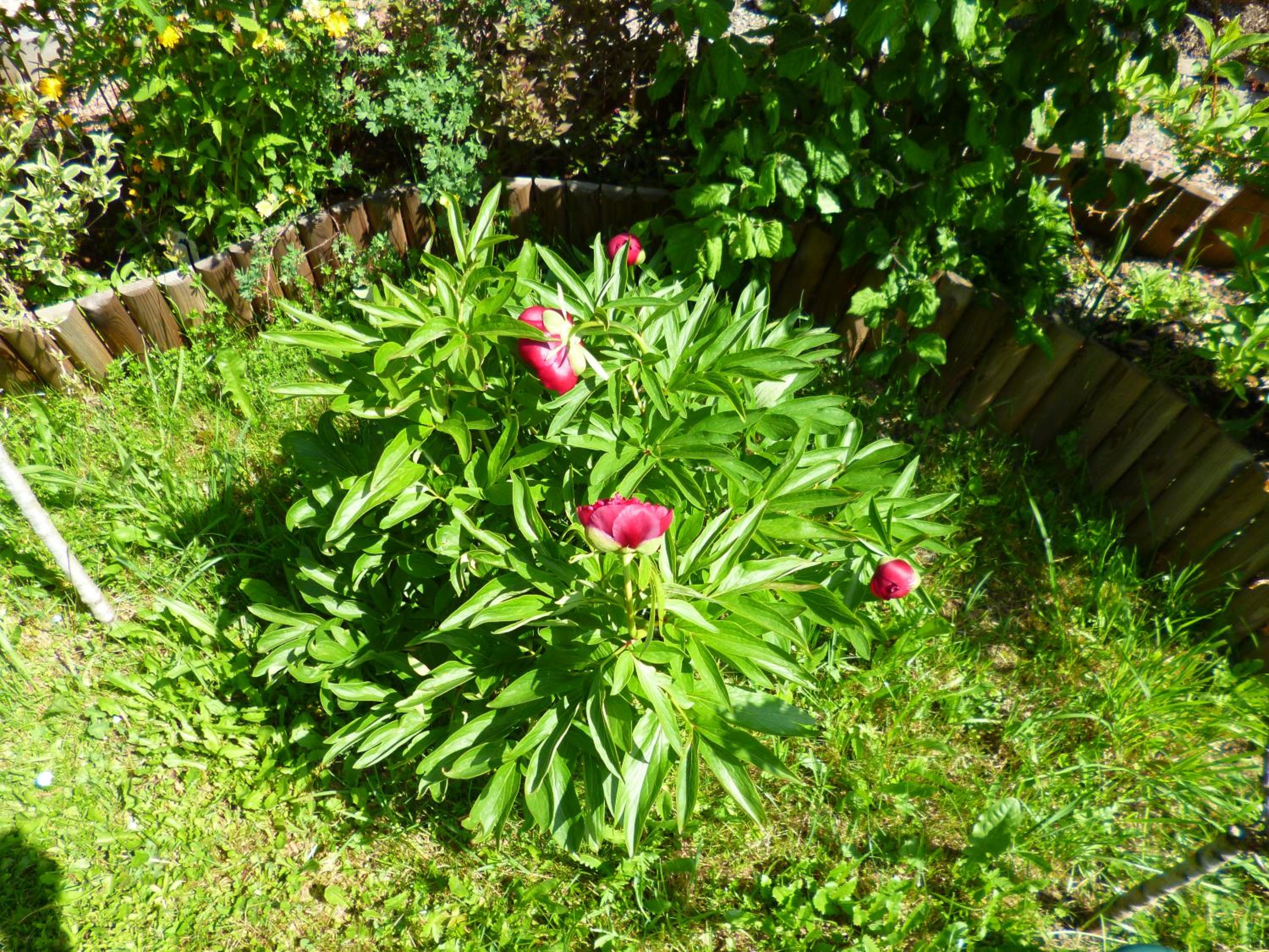 Photo 48