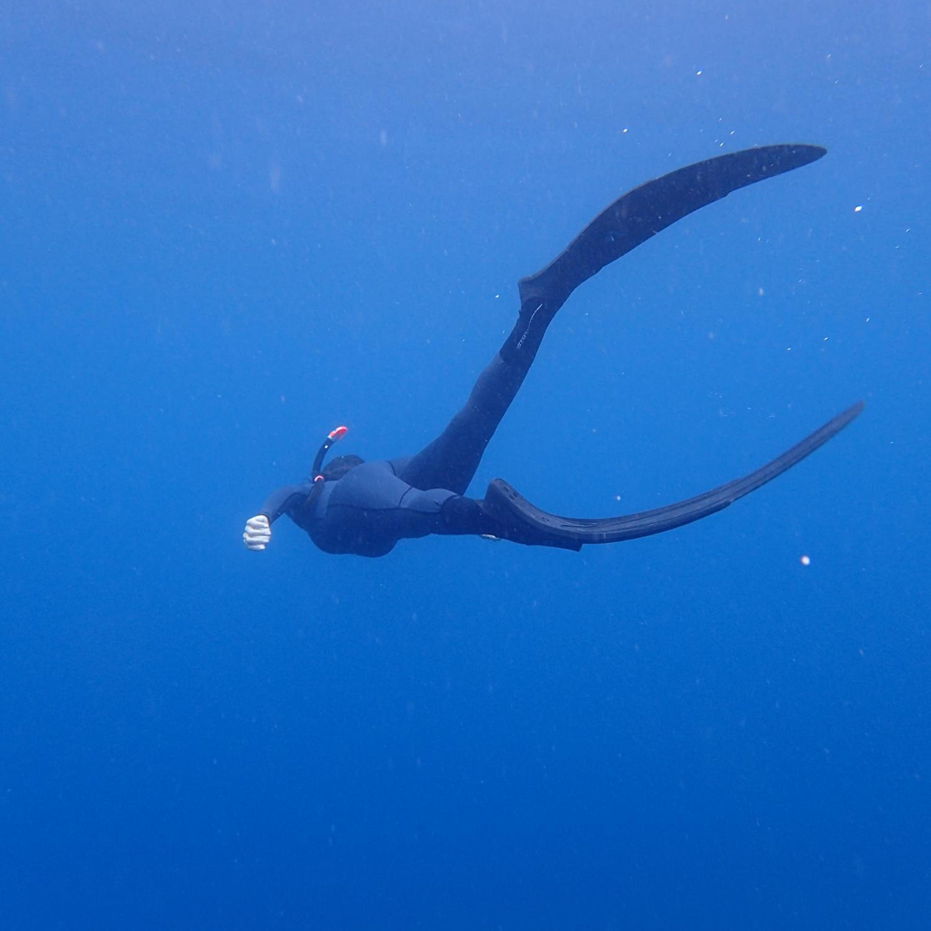 Pintuyan Dive Resort