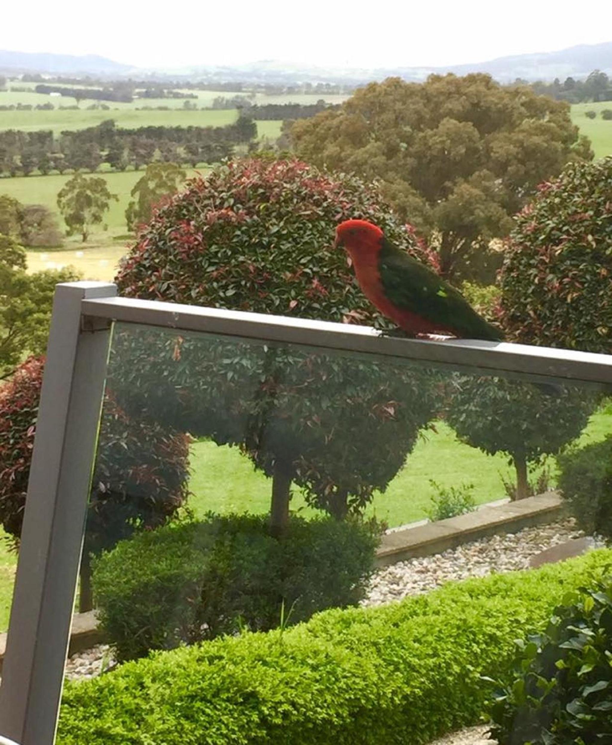 The Studio - Yarra Valley