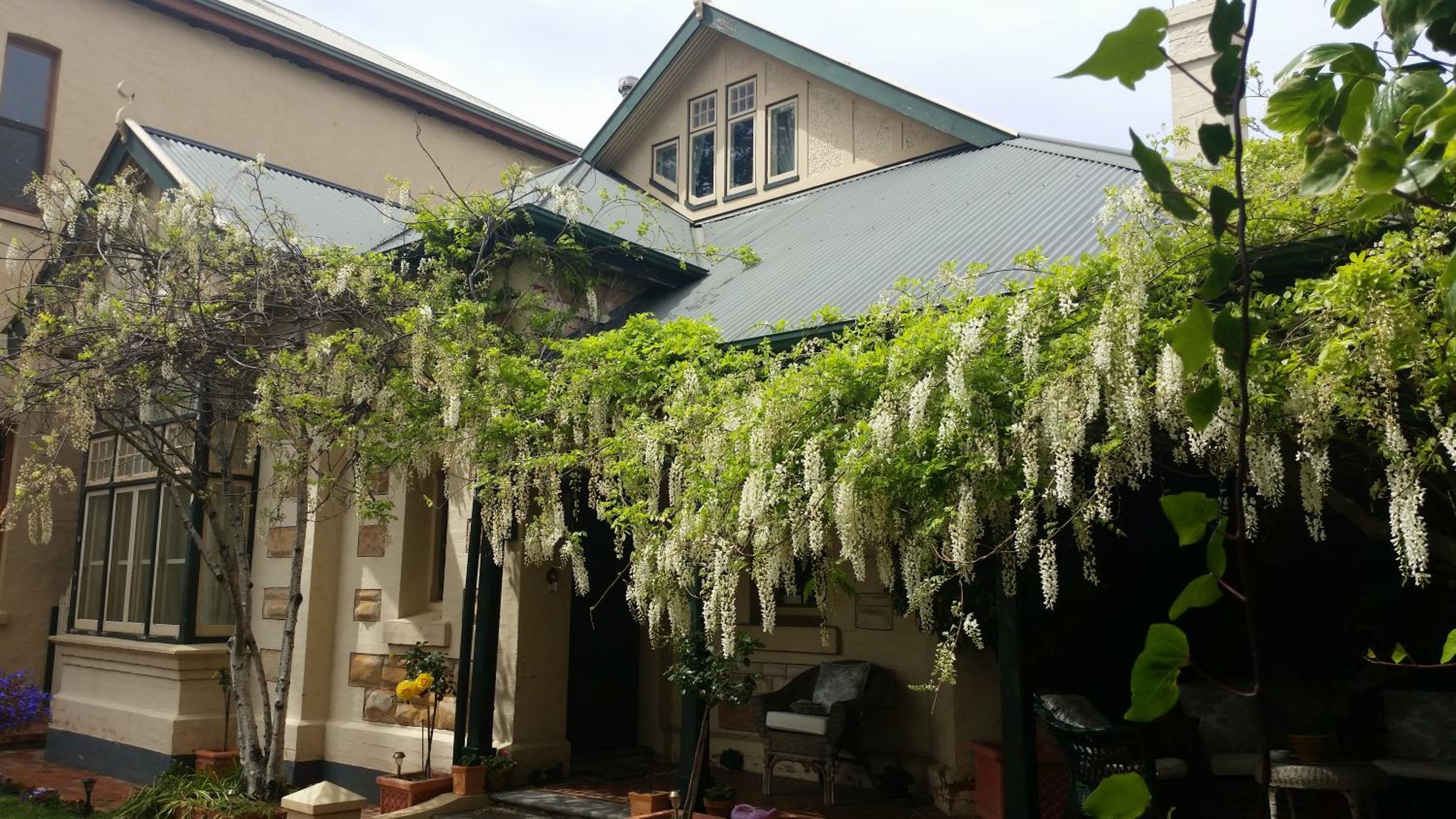 Water Bay Villa Bed & Breakfast