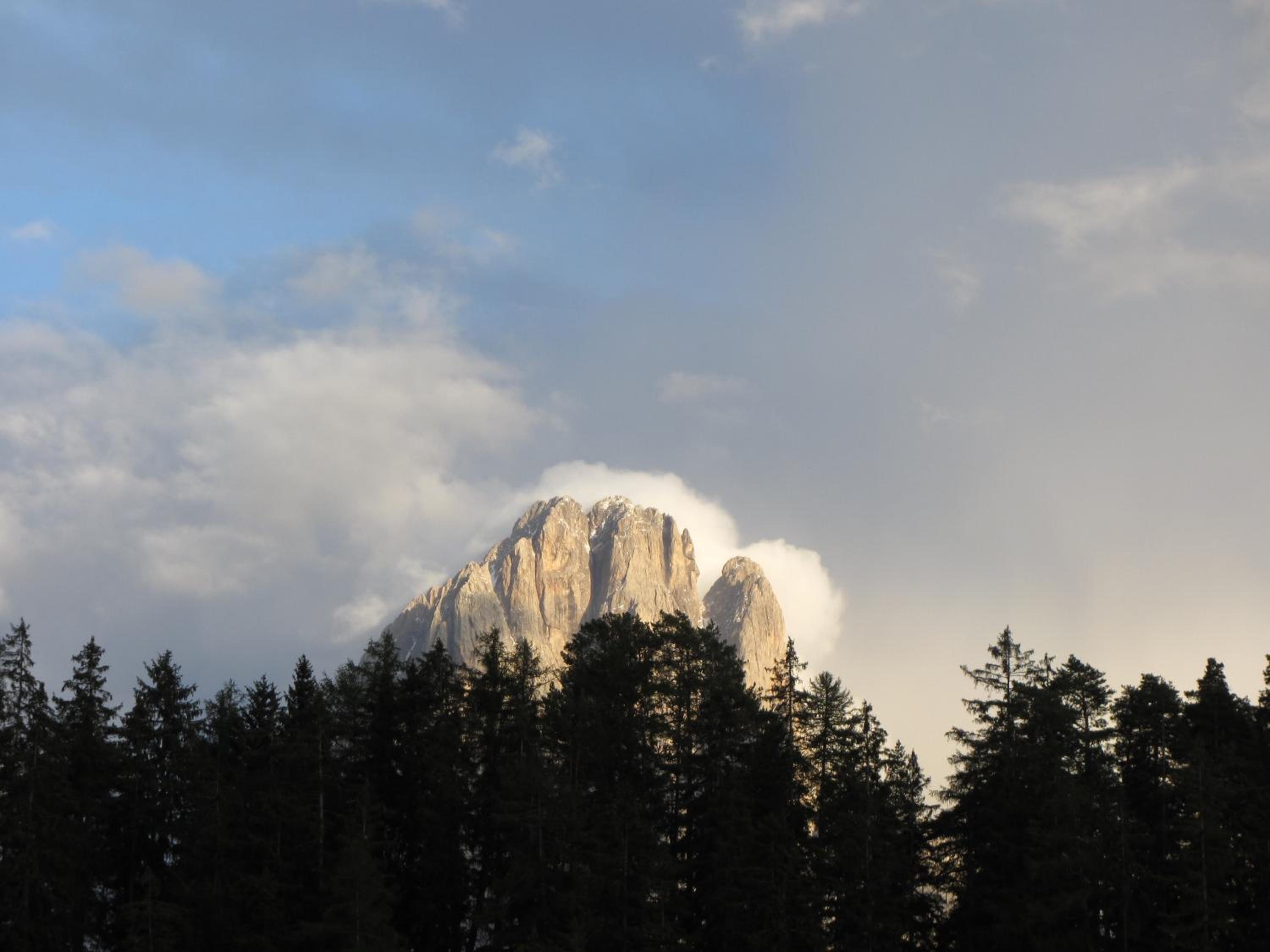Photo 29