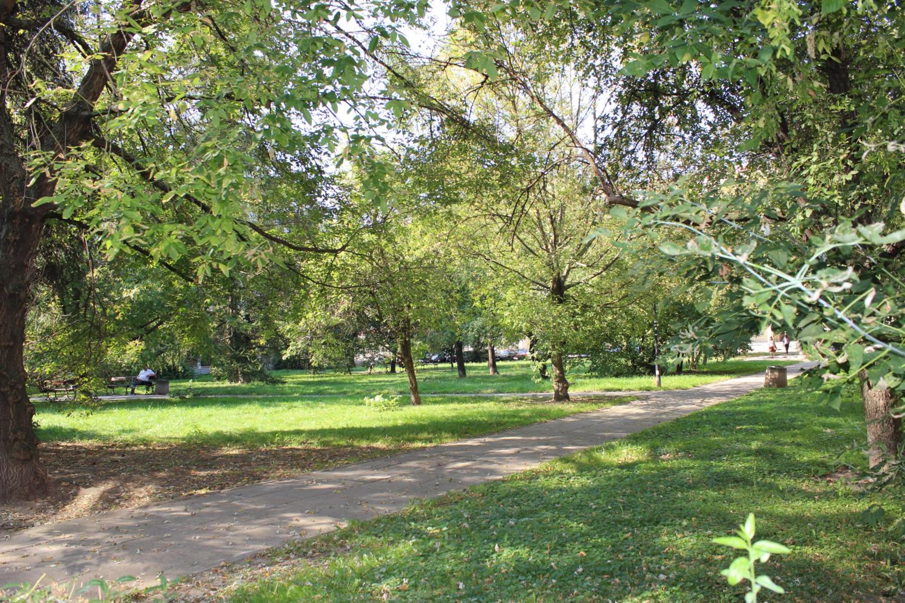 Photo 22